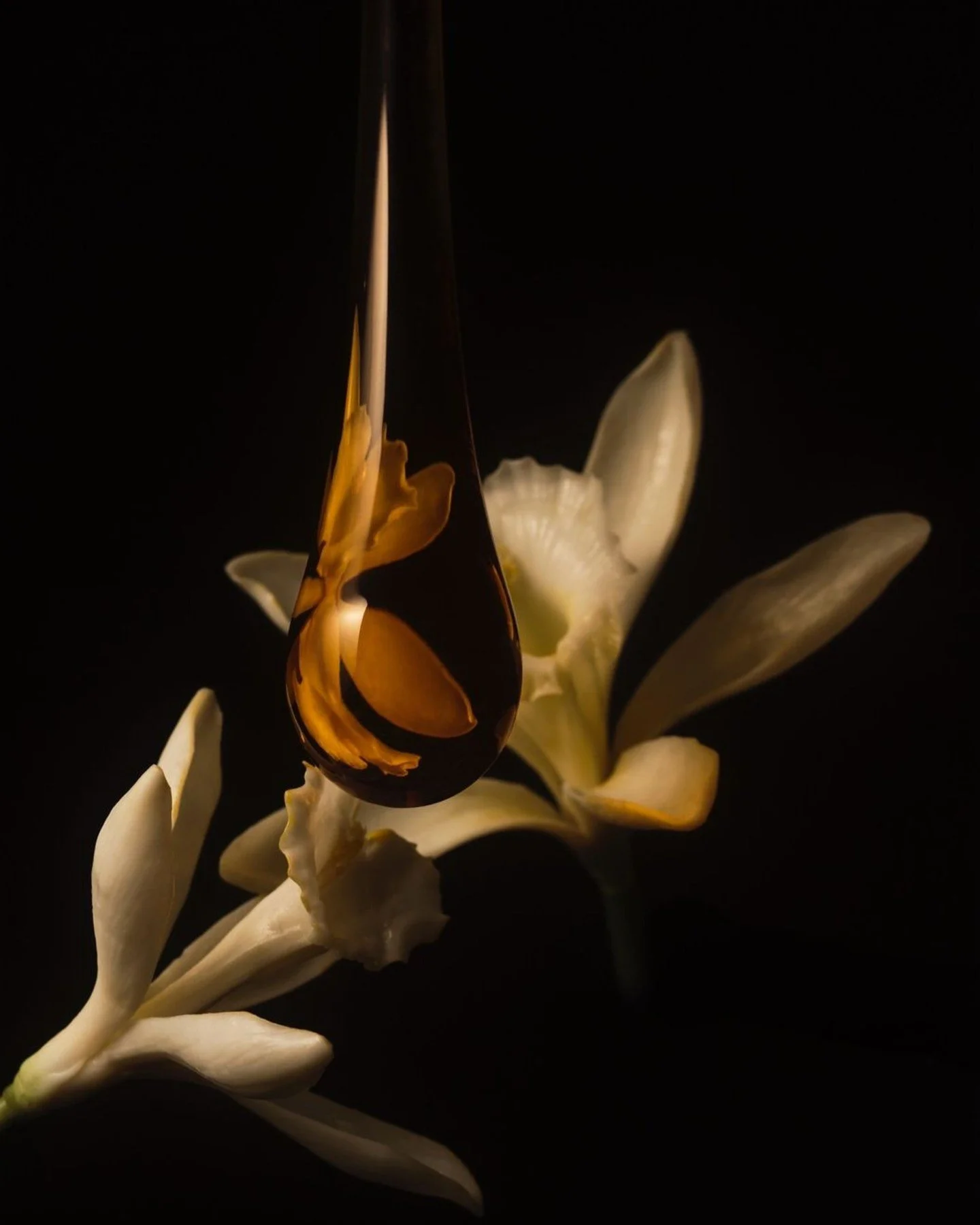 SUNBURNT COUNTRY

Smoky vetiver and clove rise through the warmth, softened by neroli&rsquo;s golden glow.

AMBER / SMOKY / SWEET