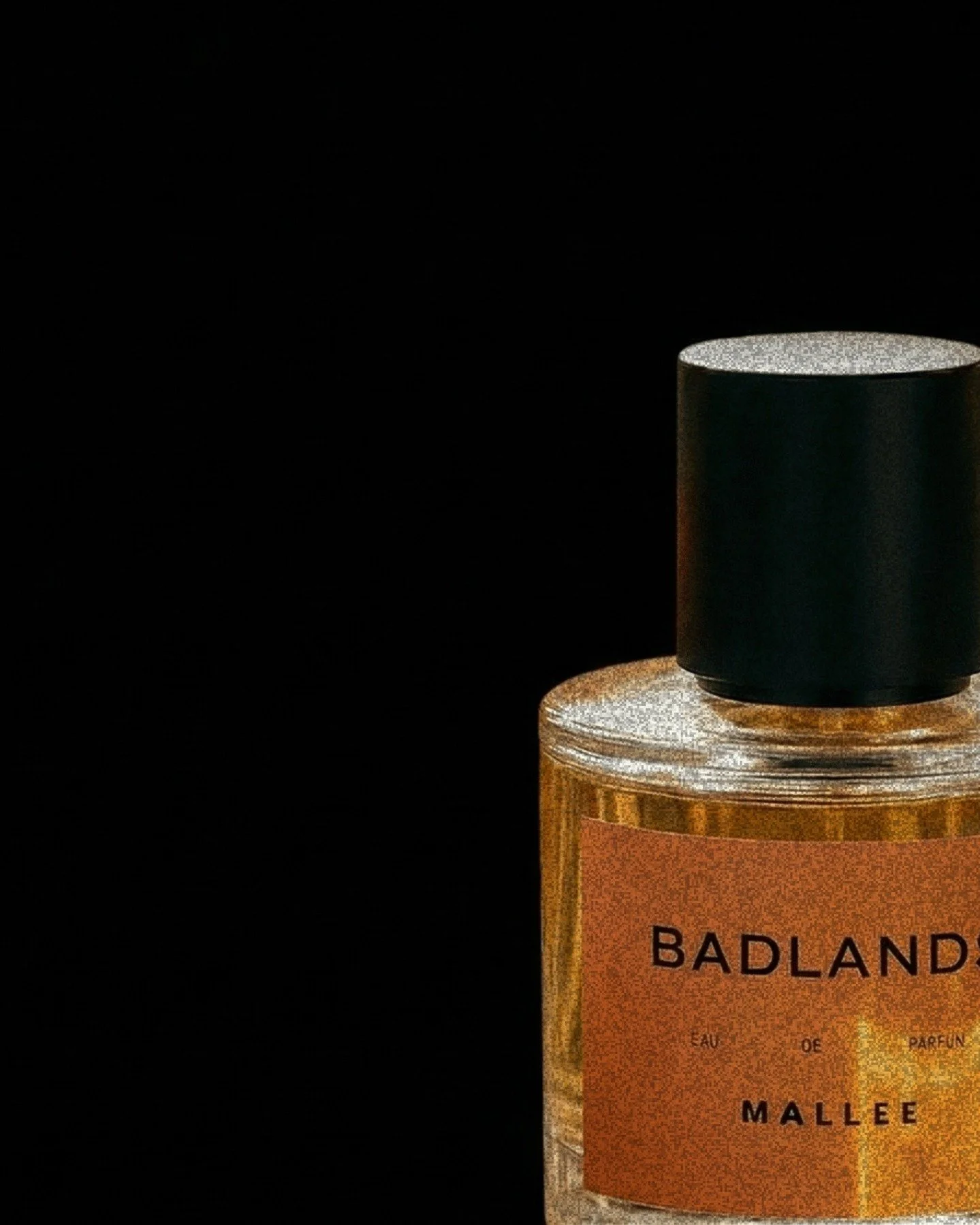 BADLANDS

Reckless Spice.
Forged in the scorched badlands of Australia, this scent strikes like venom. 
Bright bergamot cuts through bitter coffee beans, while smoky vetiver and warm vanilla smoulder over cedarwood, leather, and amber. 

Dark, untame