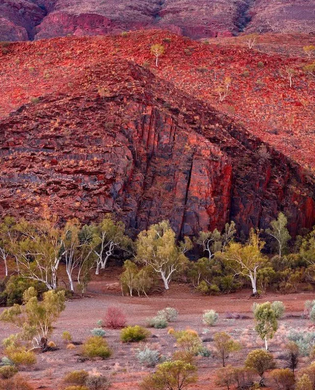 WHY AUSTRALIA SMELLS SO DIFFERENT