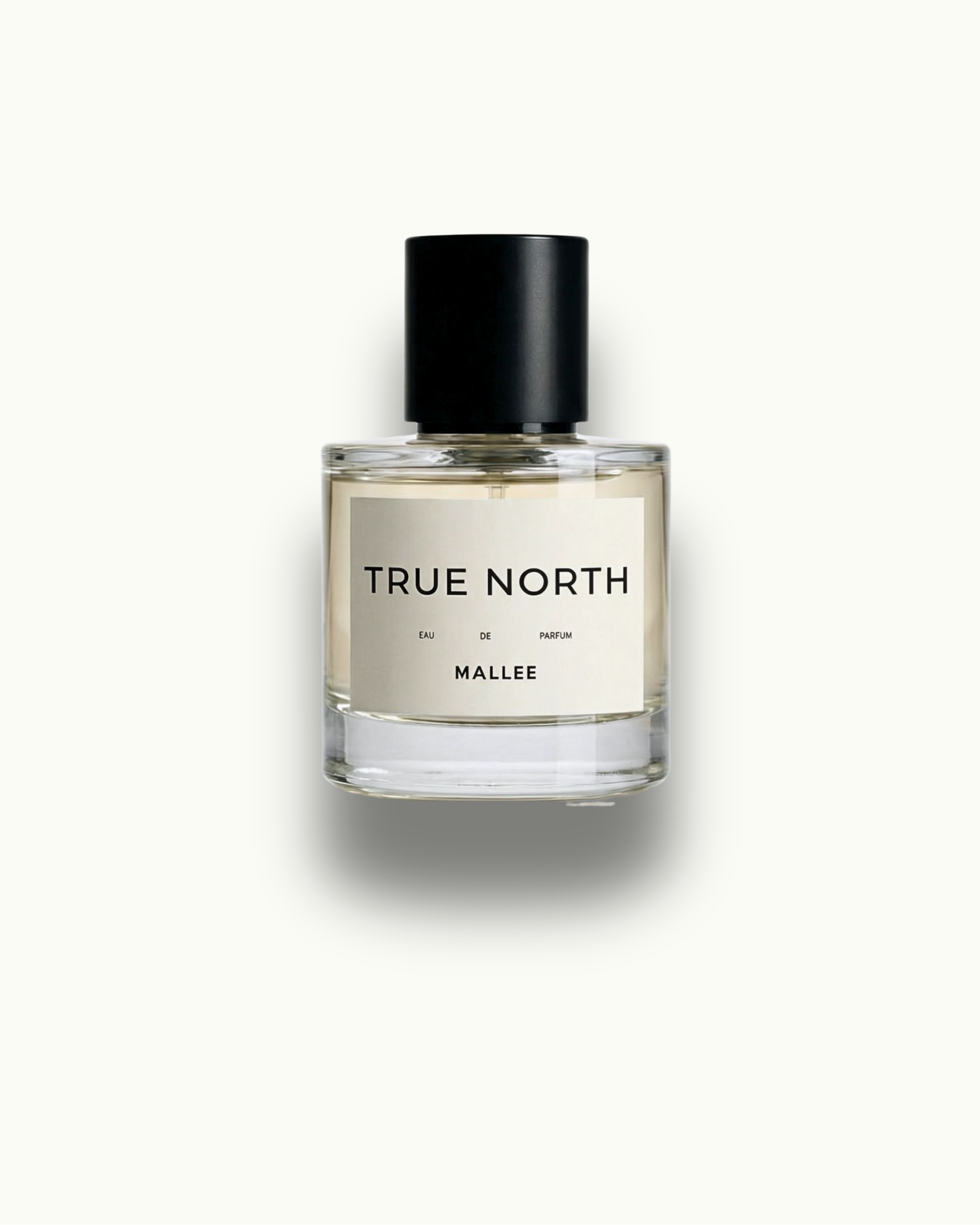 TRUE NORTH