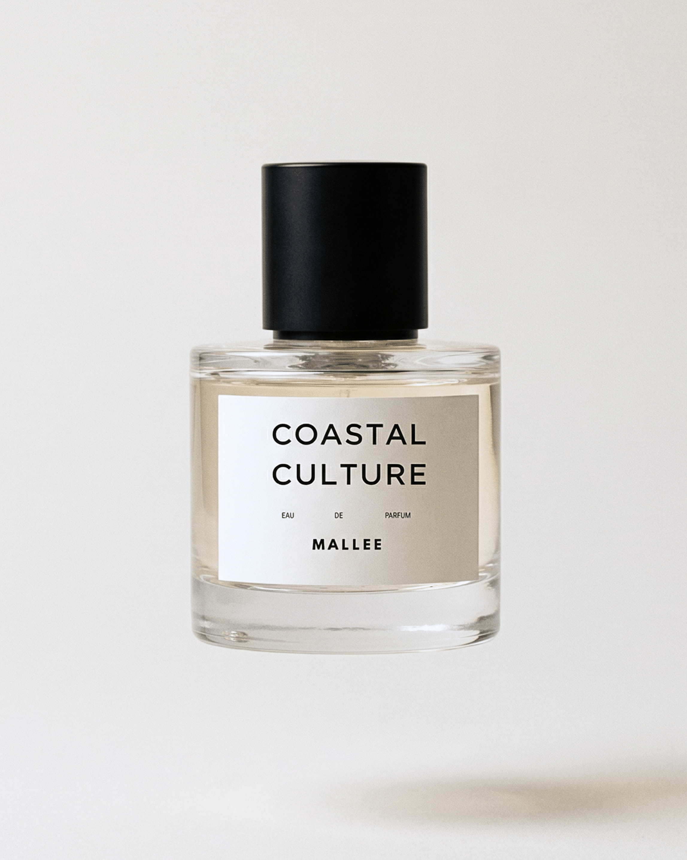 Untitled design (7).png