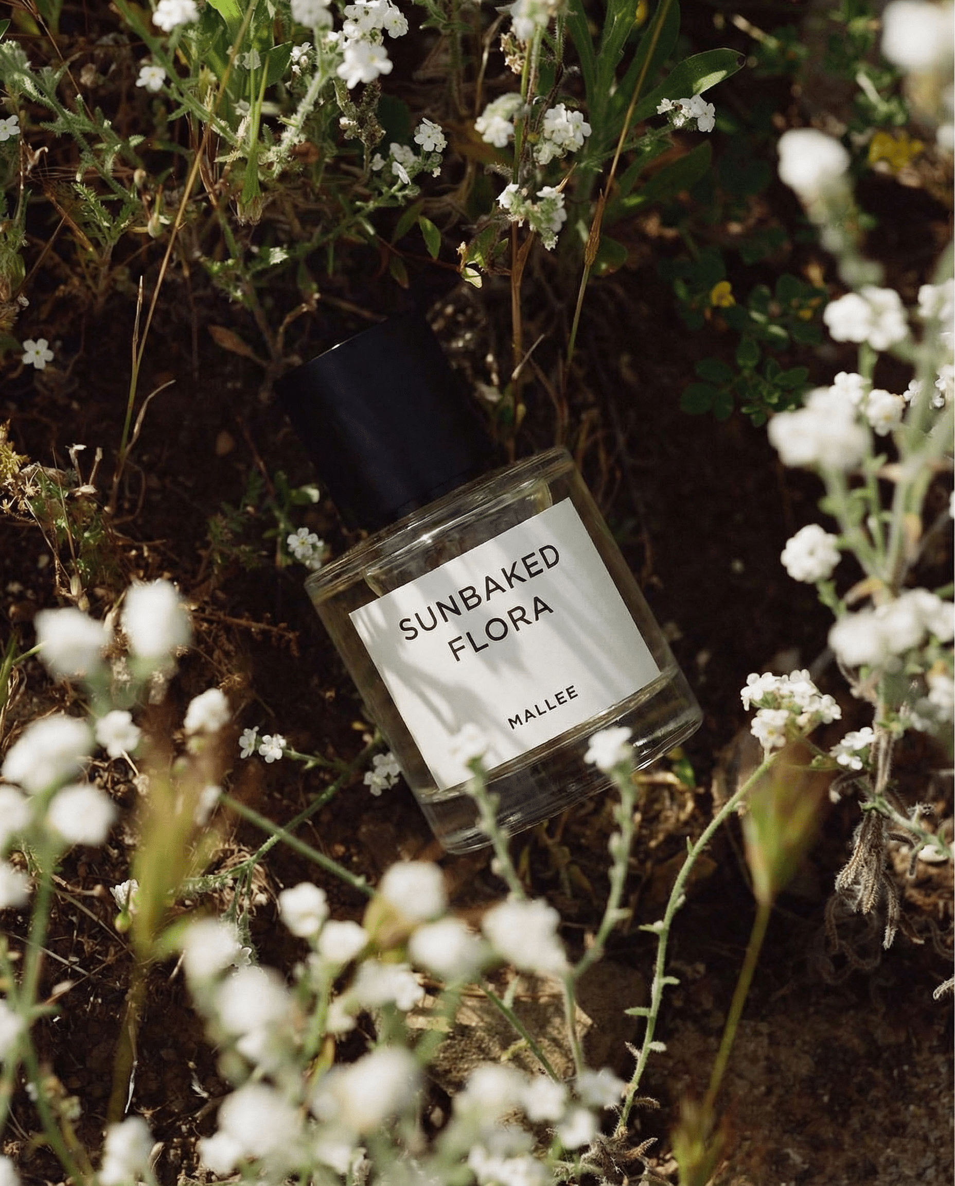 @Perfume bottle fragrance replace the refence bottle with my design perfume bottle (2).png