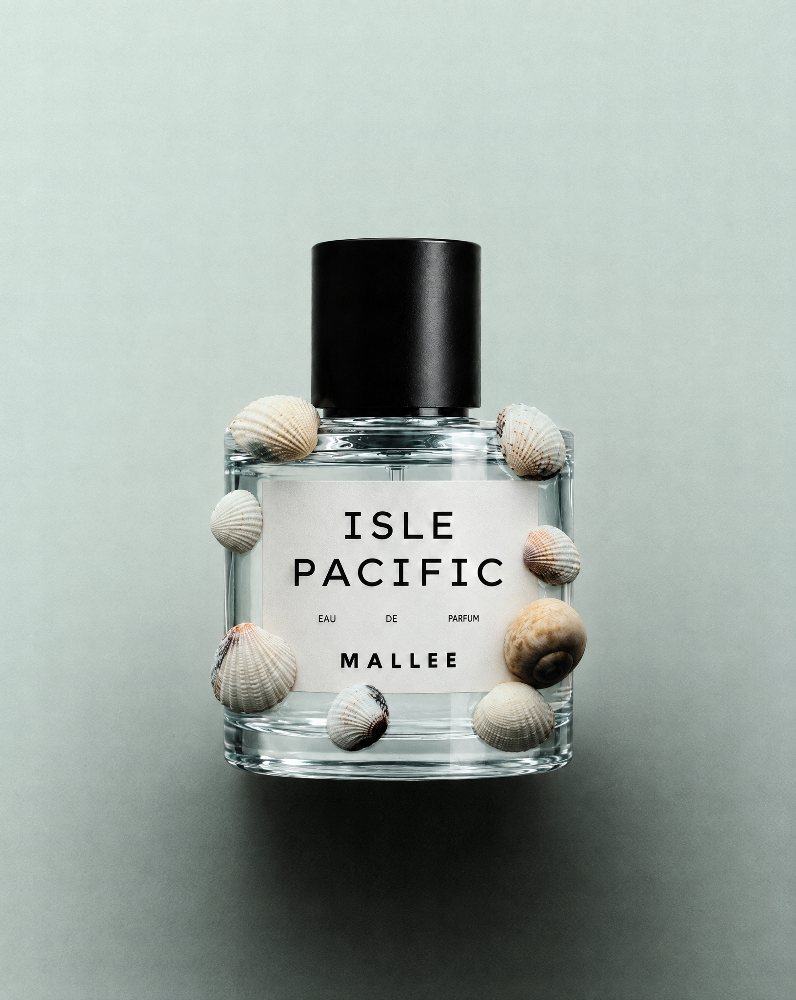ISLE PACIFIC (Limited Edition)
