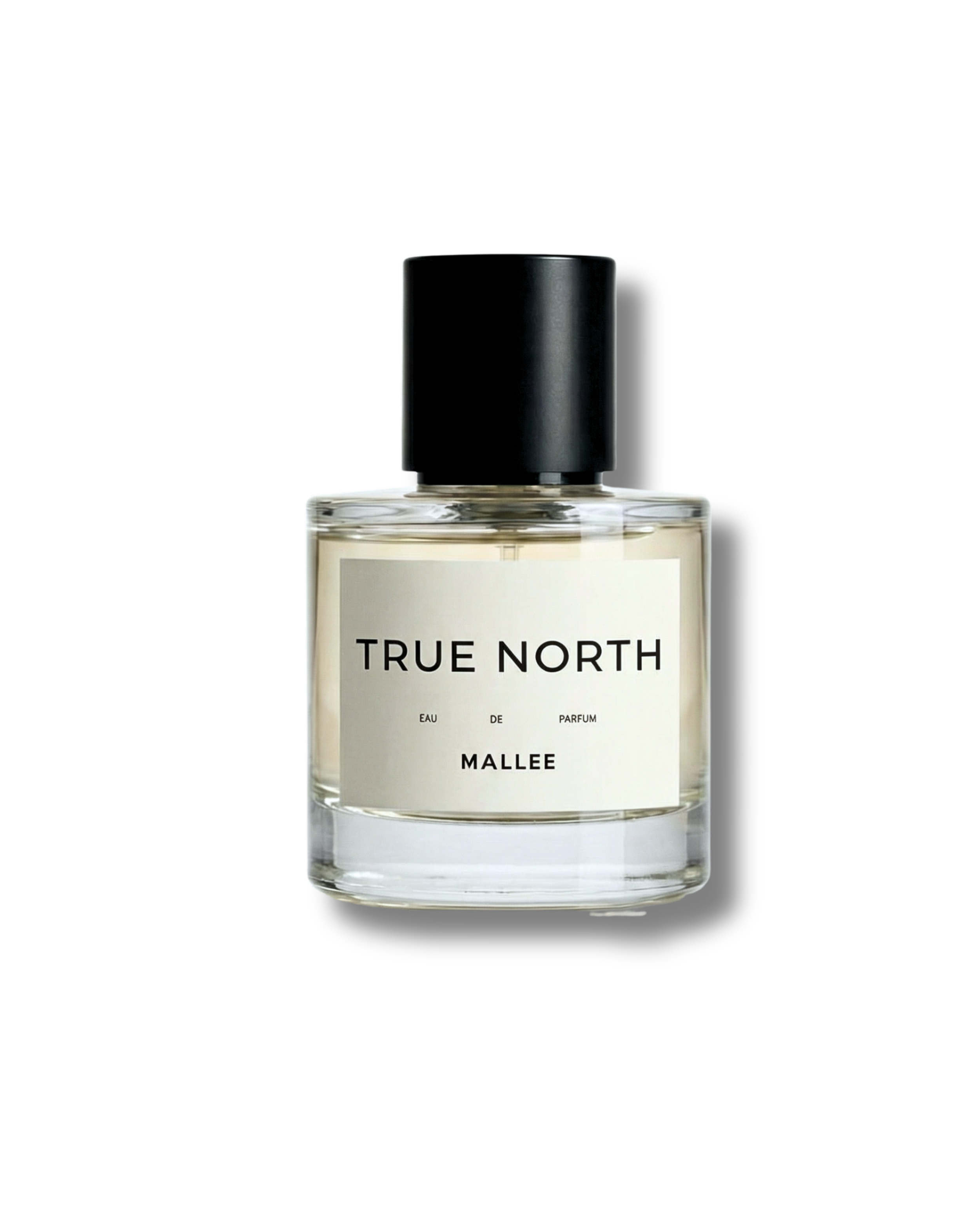 TRUE NORTH