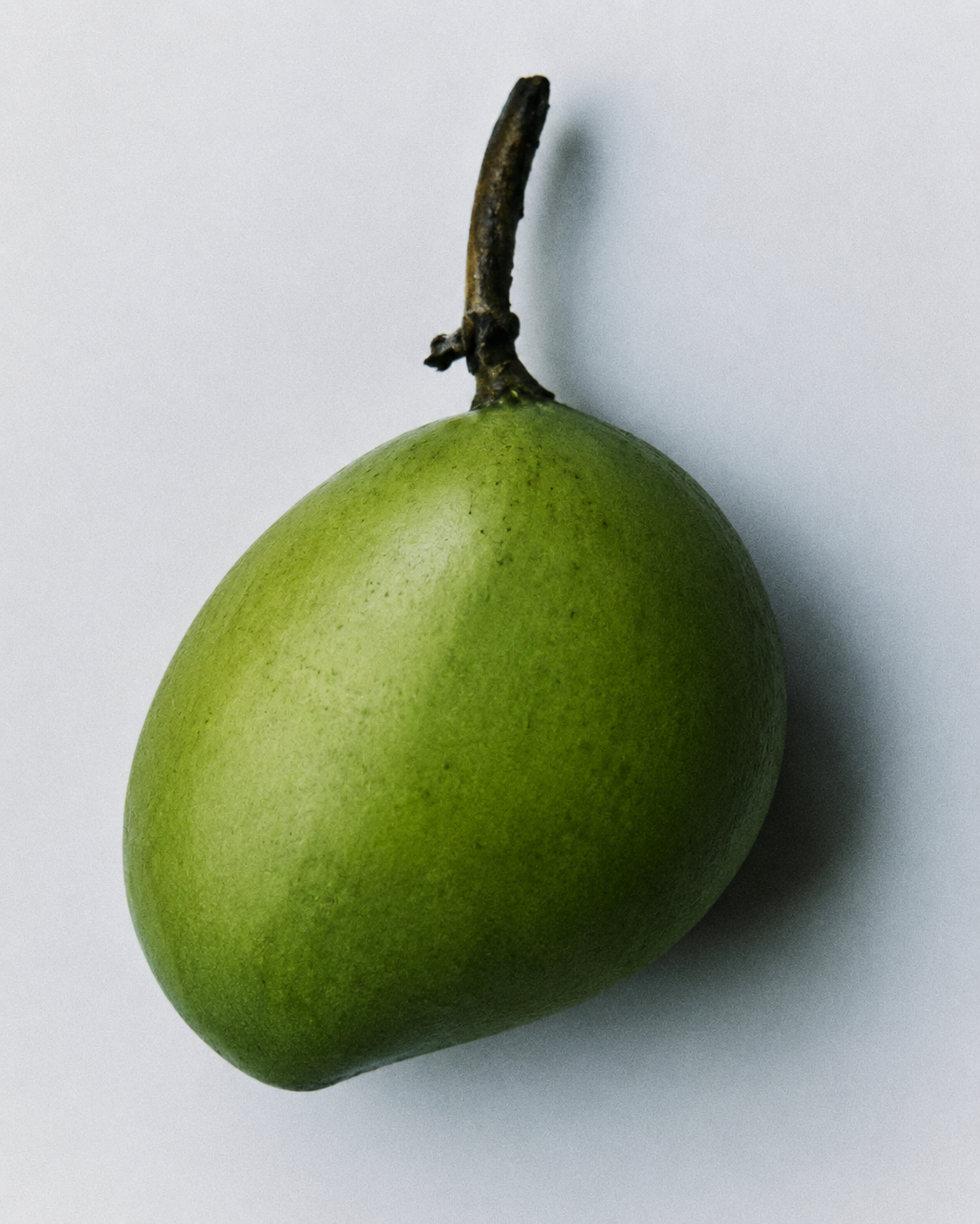 ChatGPT Image Jun 25, 2026, 10_27_00 AM.png