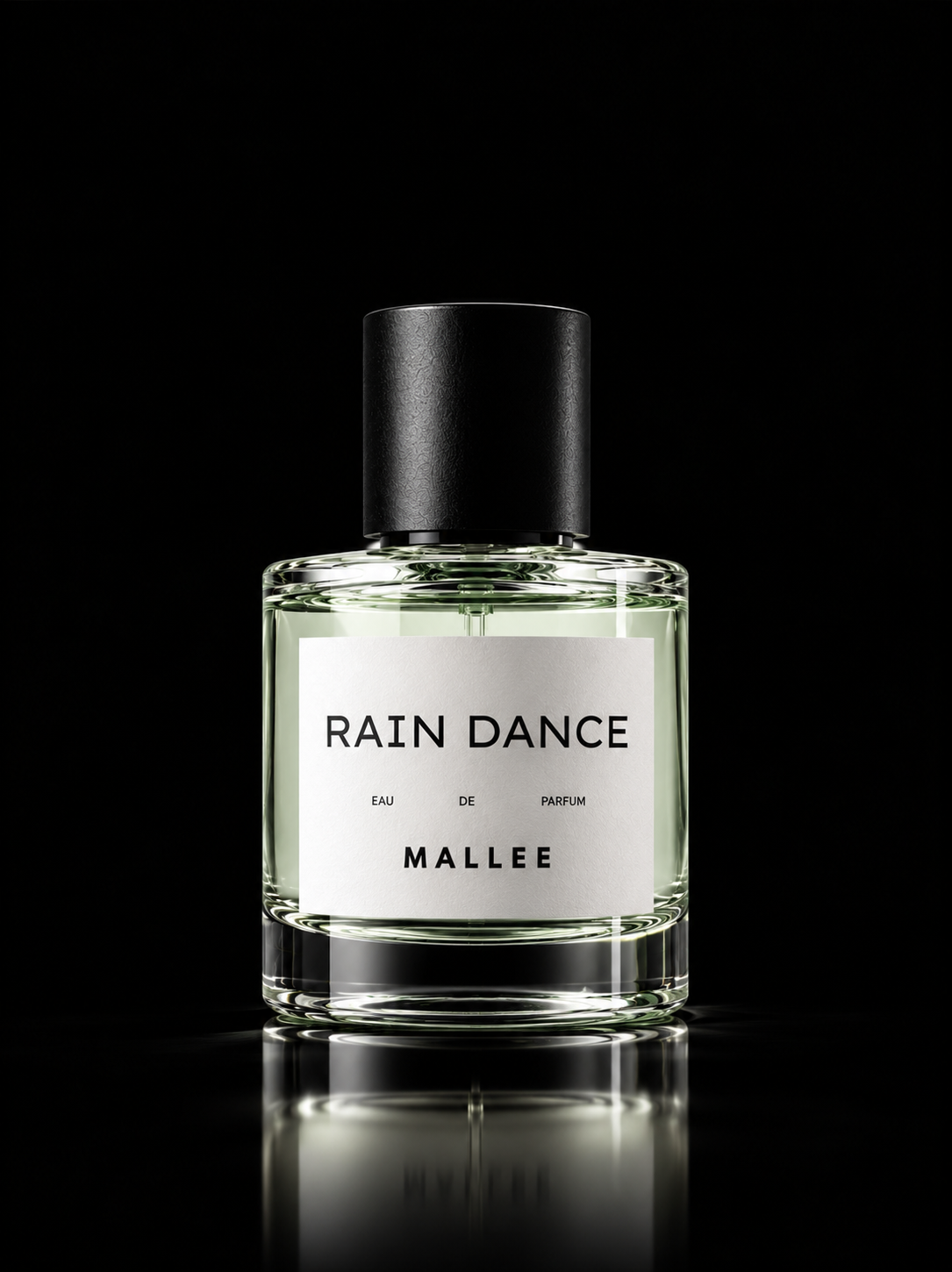 RAIN DANCE (Limited Edition)