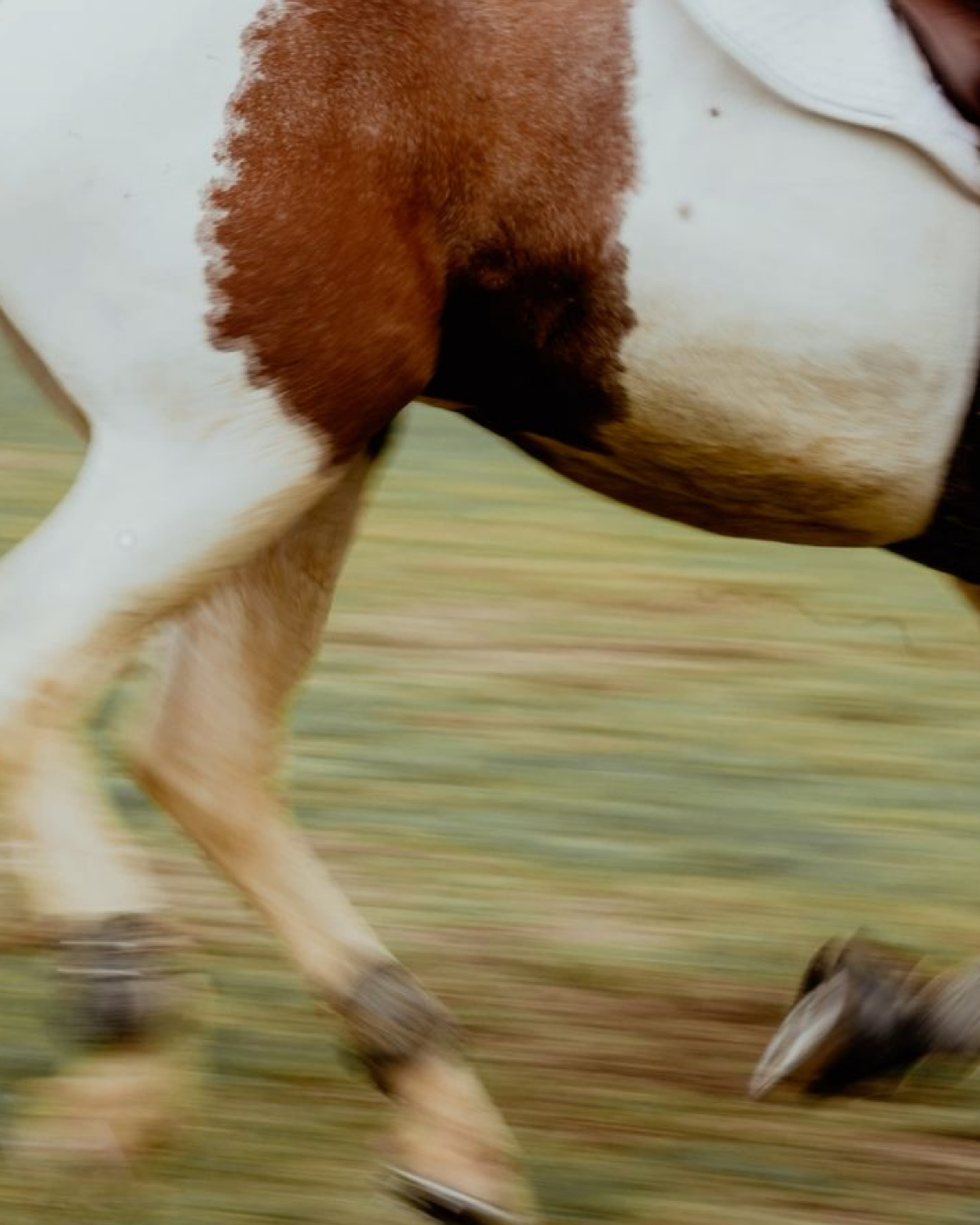 Instagram Planning (9).png