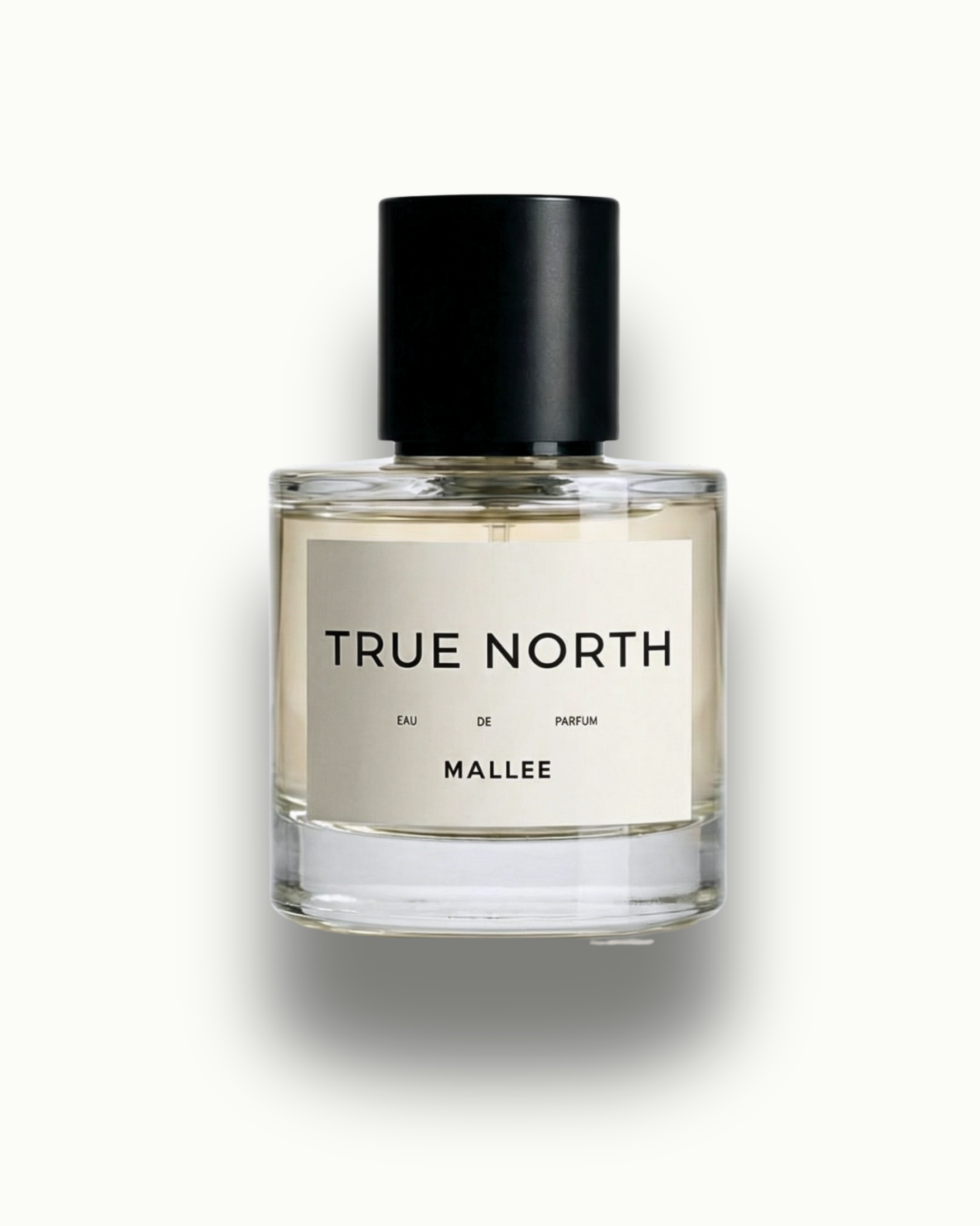 TRUE NORTH
