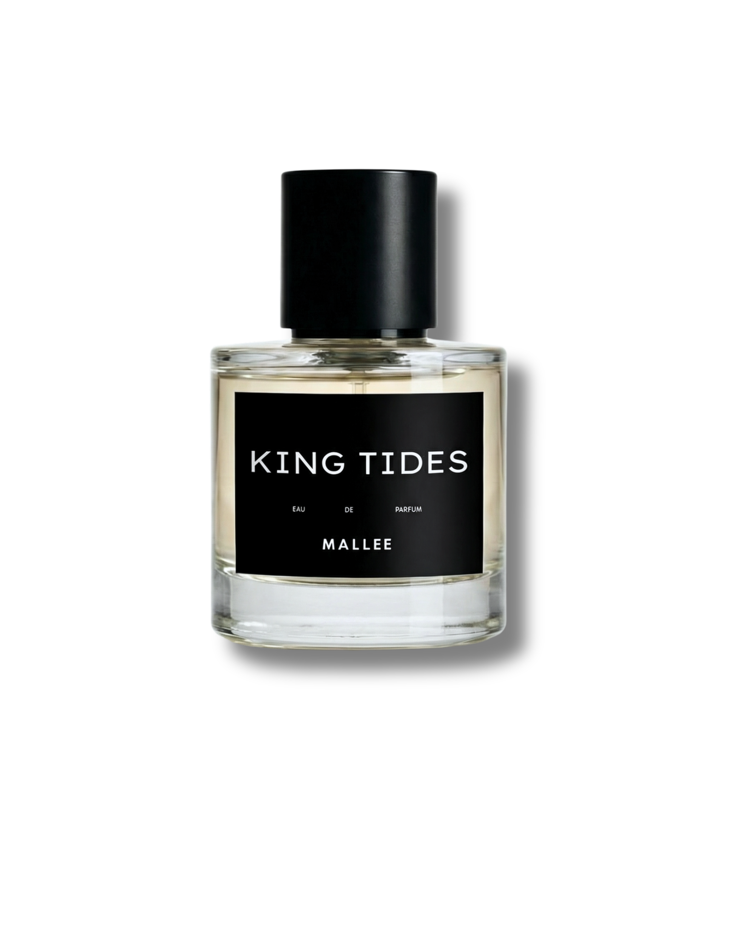 KING TIDES