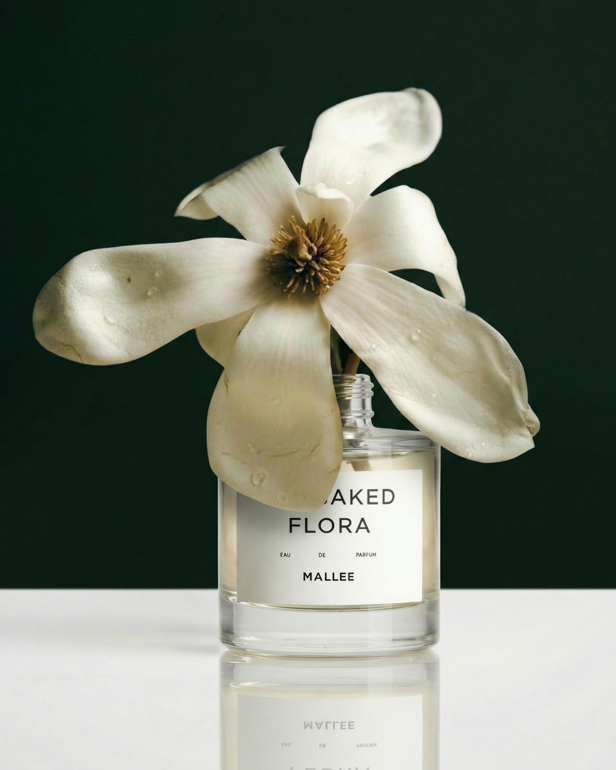 SunbakedFlora