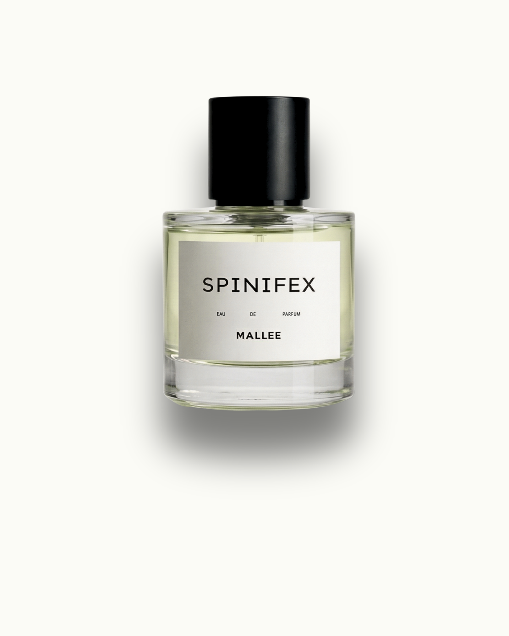 SPINIFEX