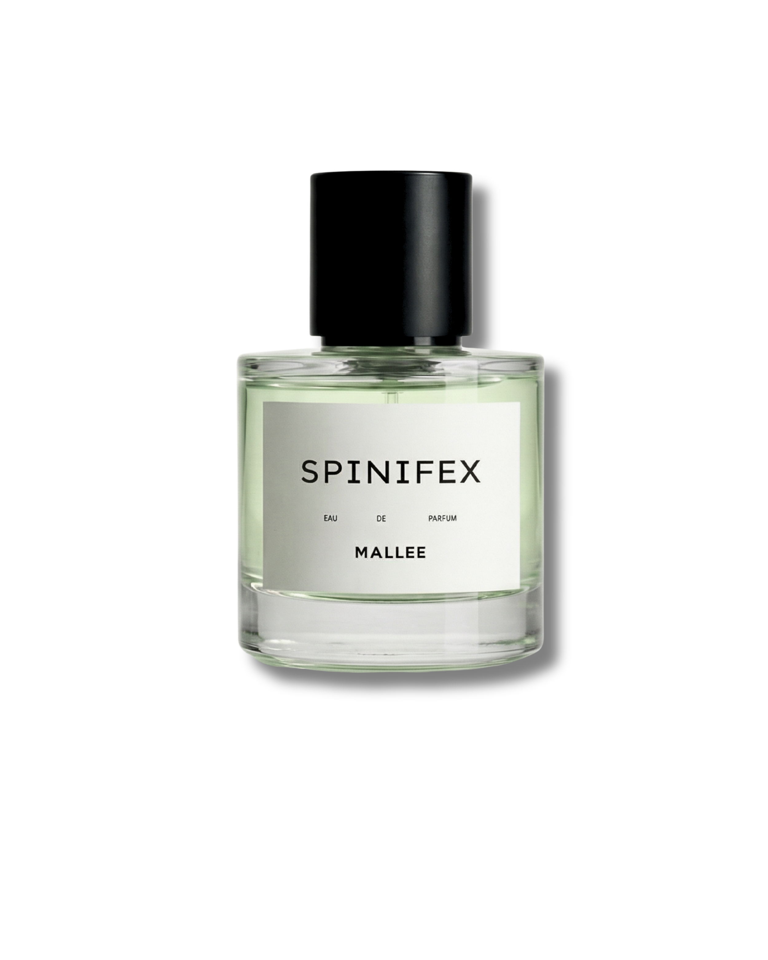 SPINIFEX