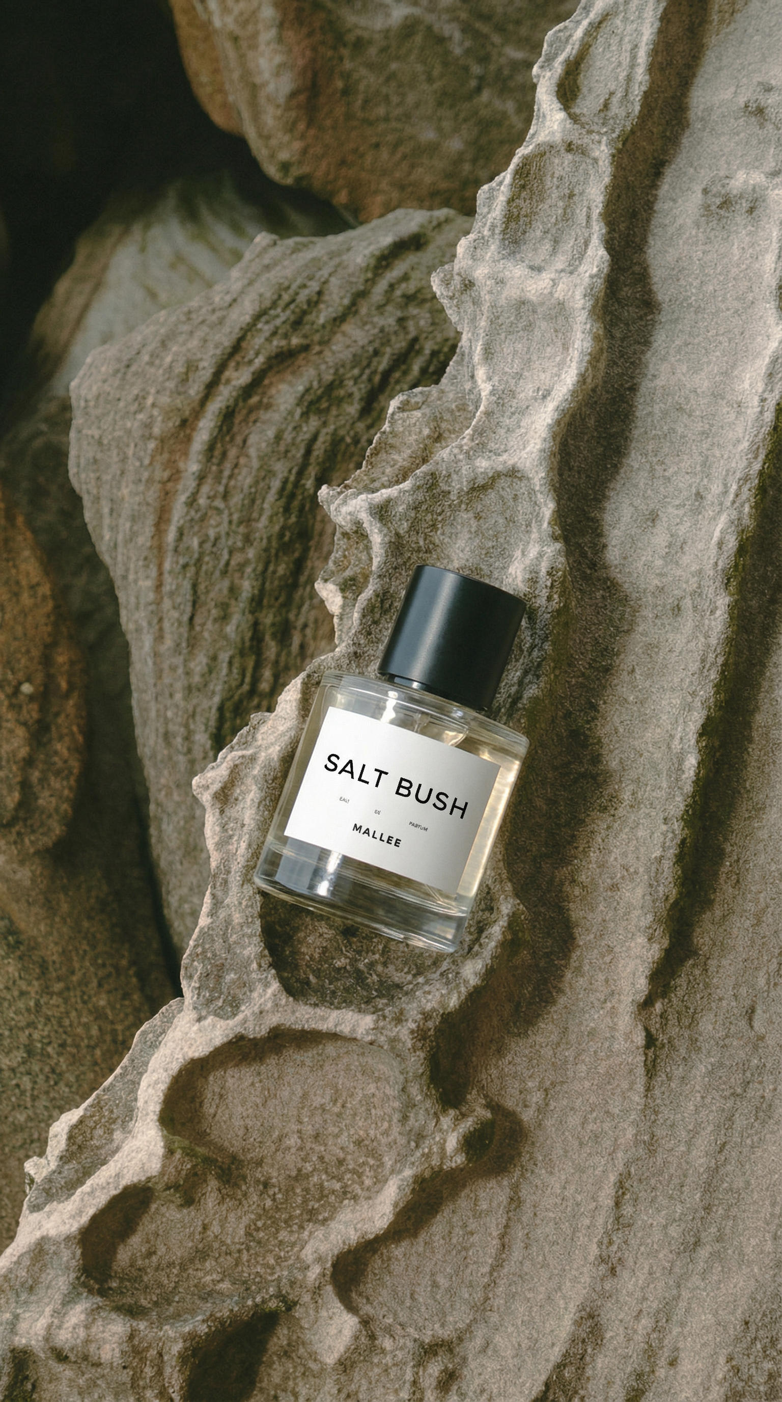 recreate the reference image using my perfume bottle design (3).png