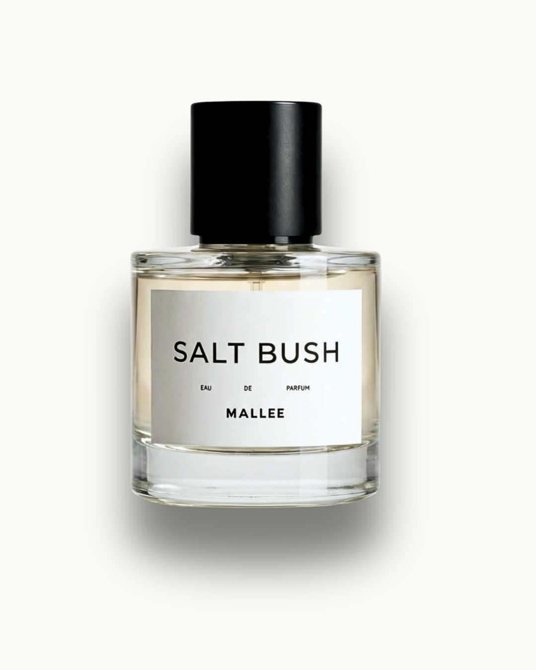 SALT BUSH