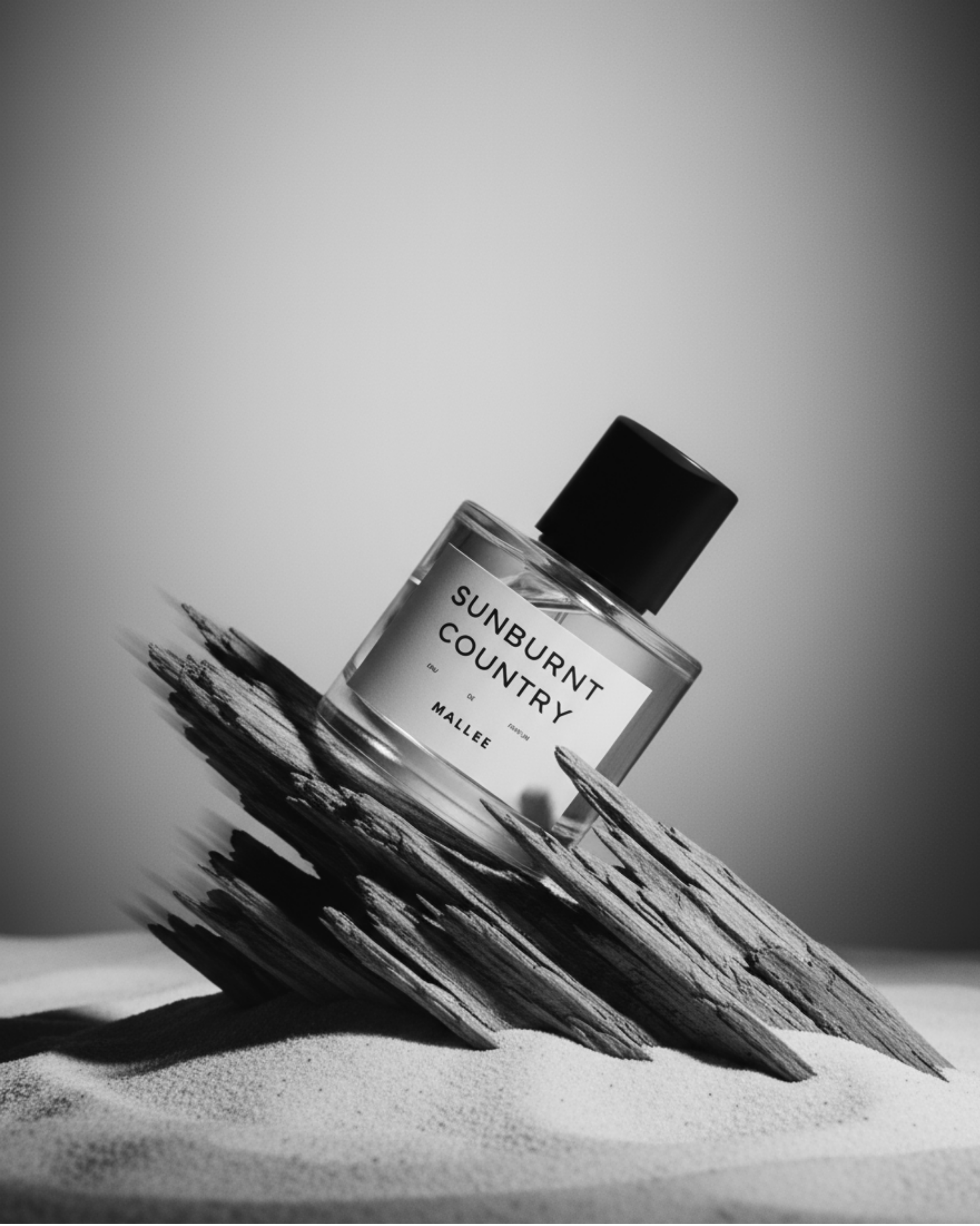 Untitled design (4).png