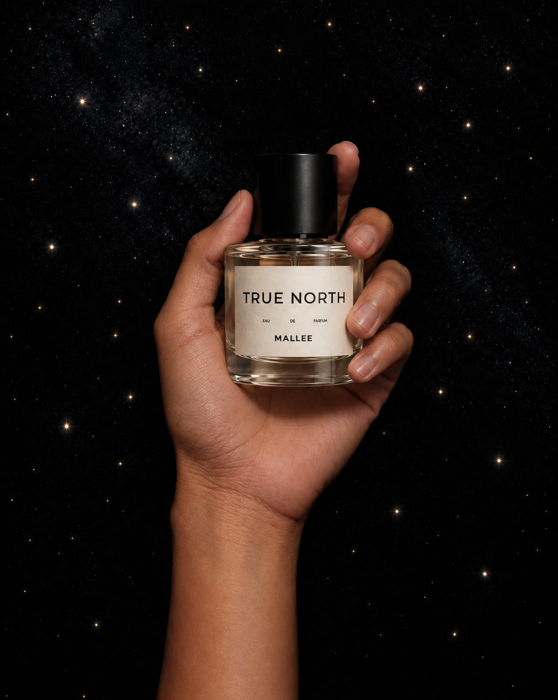 True North Cosmic Fragrance Ad.png