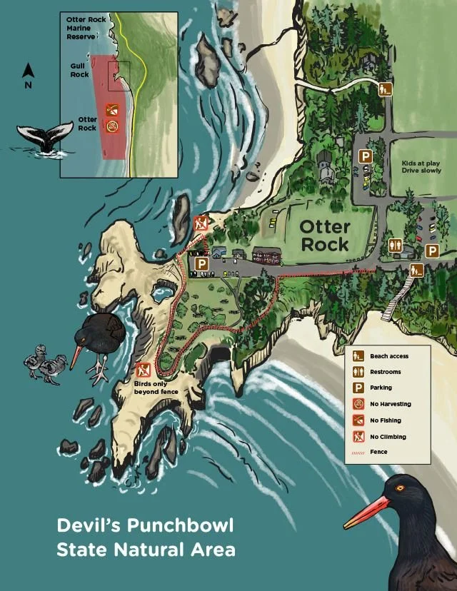 otter-rock-map-640x828.jpg