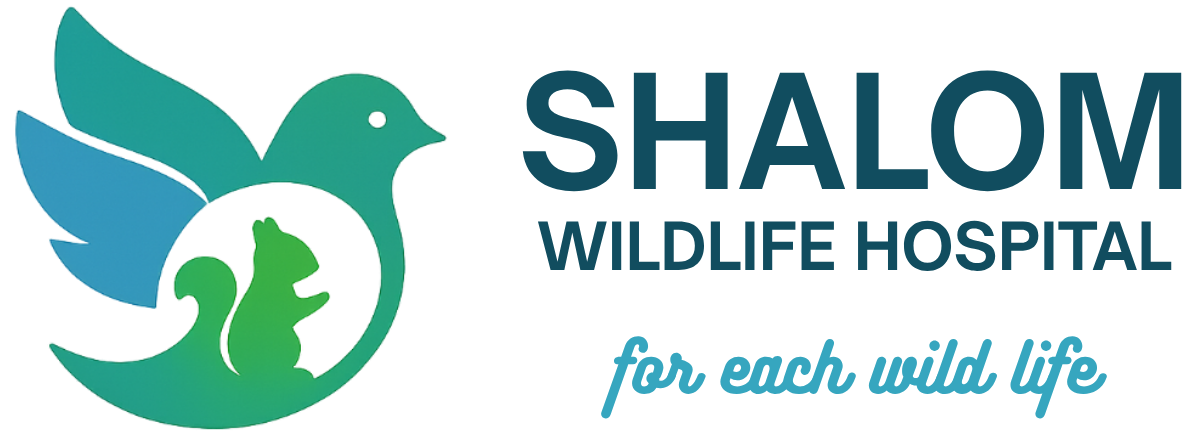 Shalom Wildlife Hospital