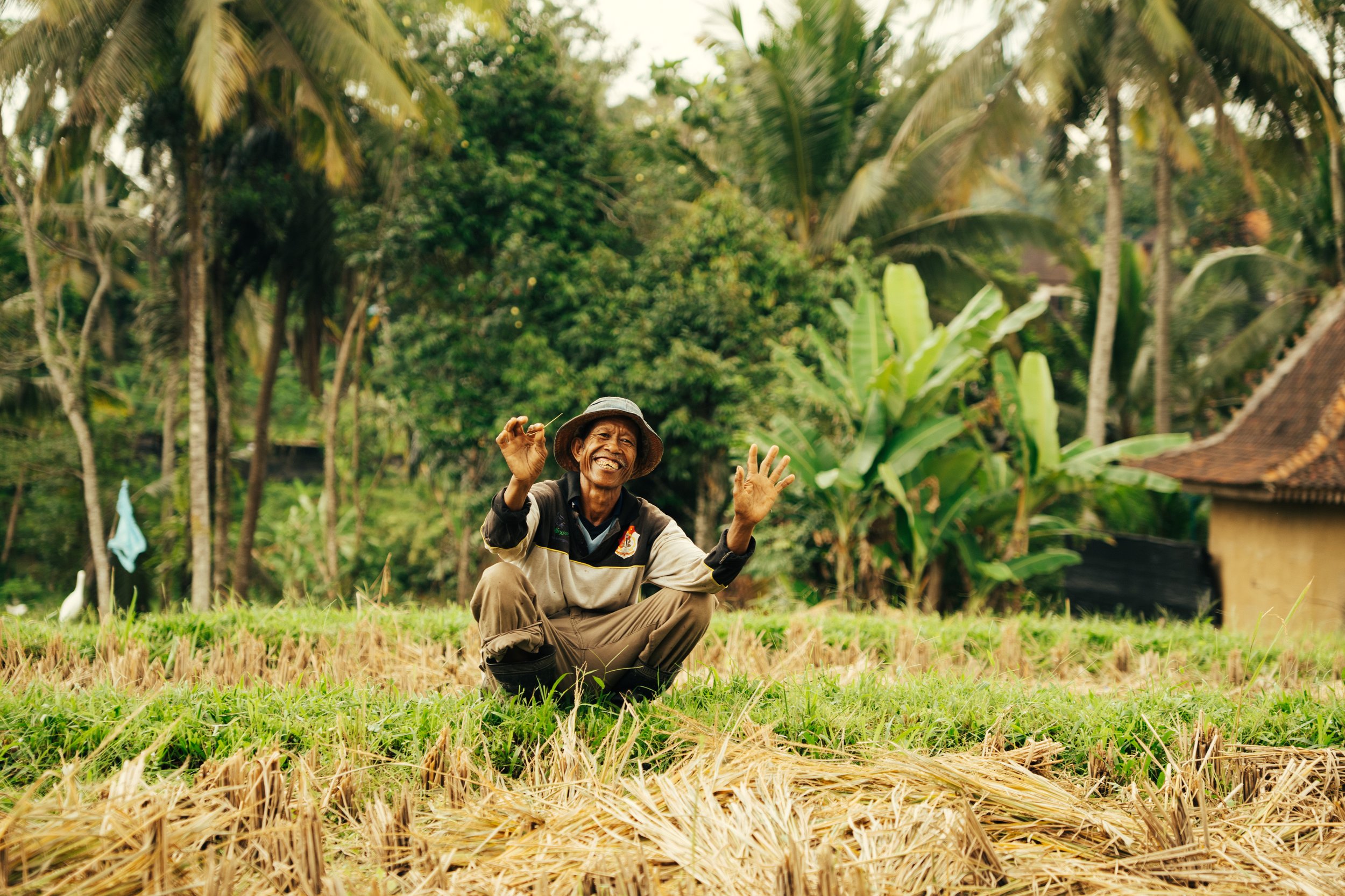 Un homme souriant, vêtu de vêtements de travail, assis dans un champ de riz, entouré de végétation tropicale, probablement dans une région rurale tropicale.