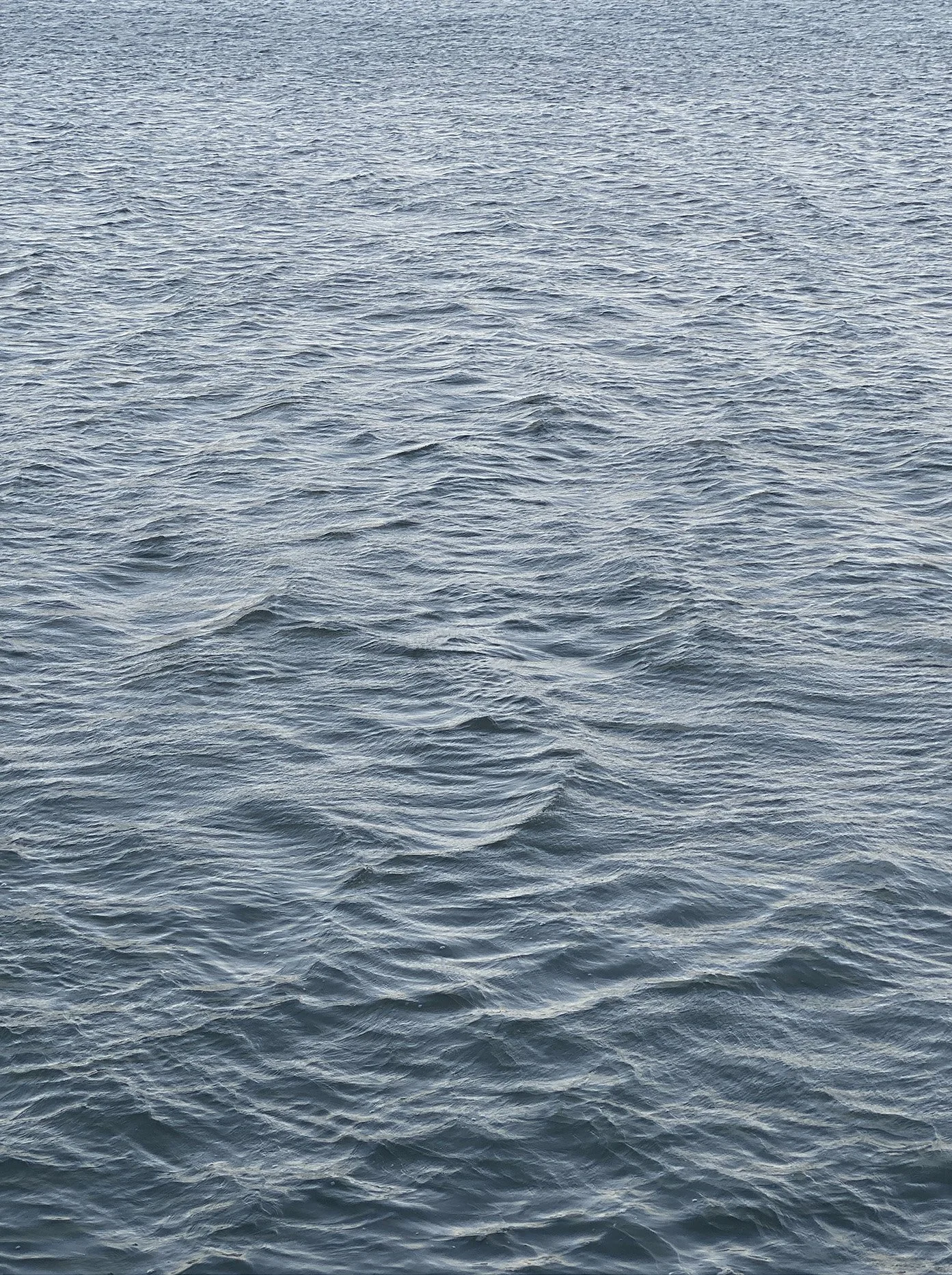 RuthDella_SomaticSonar_web_3.jpg