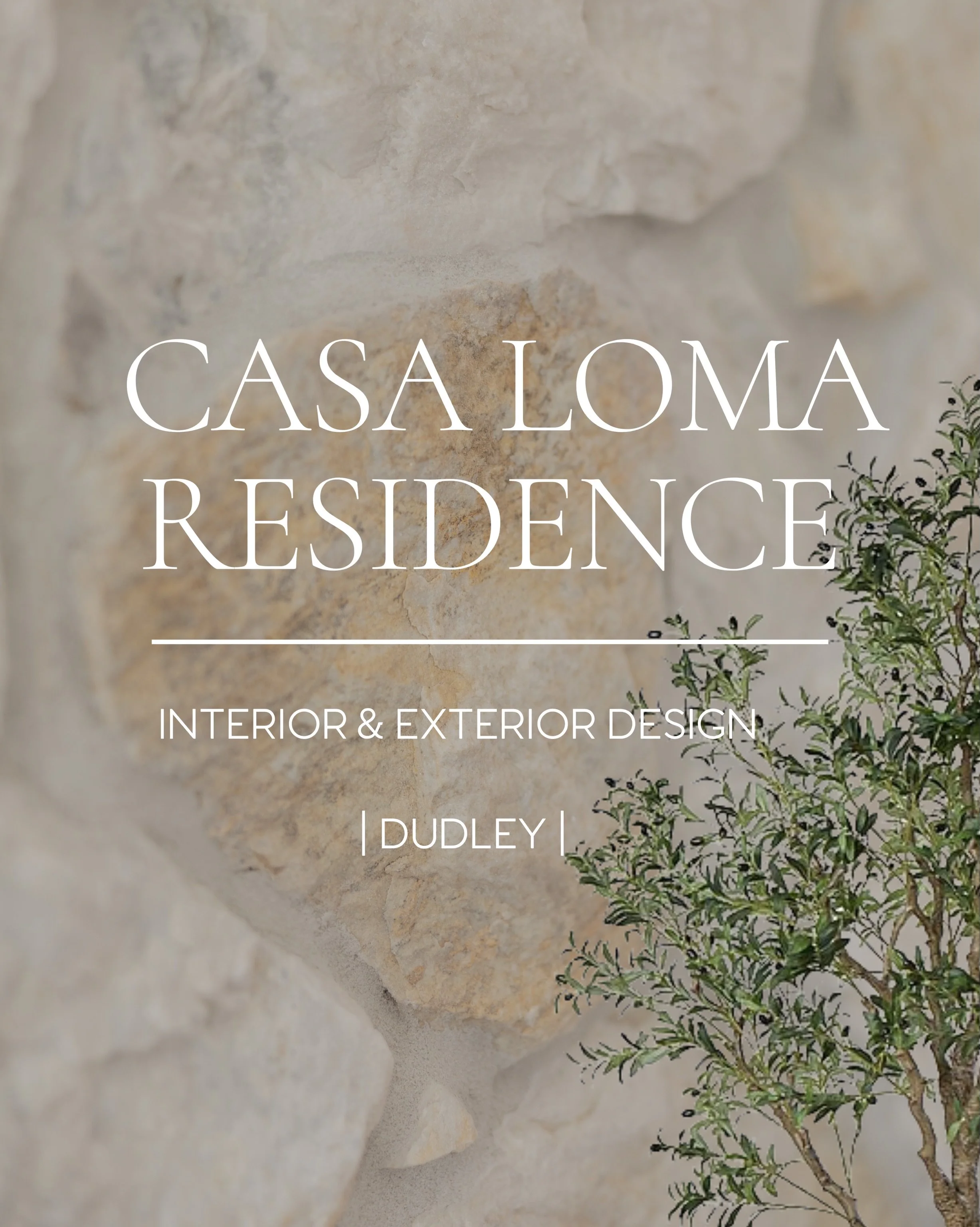 🌴CASA LOMA 🌴

Our latest renovation in Dudley with @chameleonhomes draws inspiration from the timeless elegance of Santorini, blending natural textures and soft, earthy tones to create a serene, luxurious retreat. 

The design features a refined, n