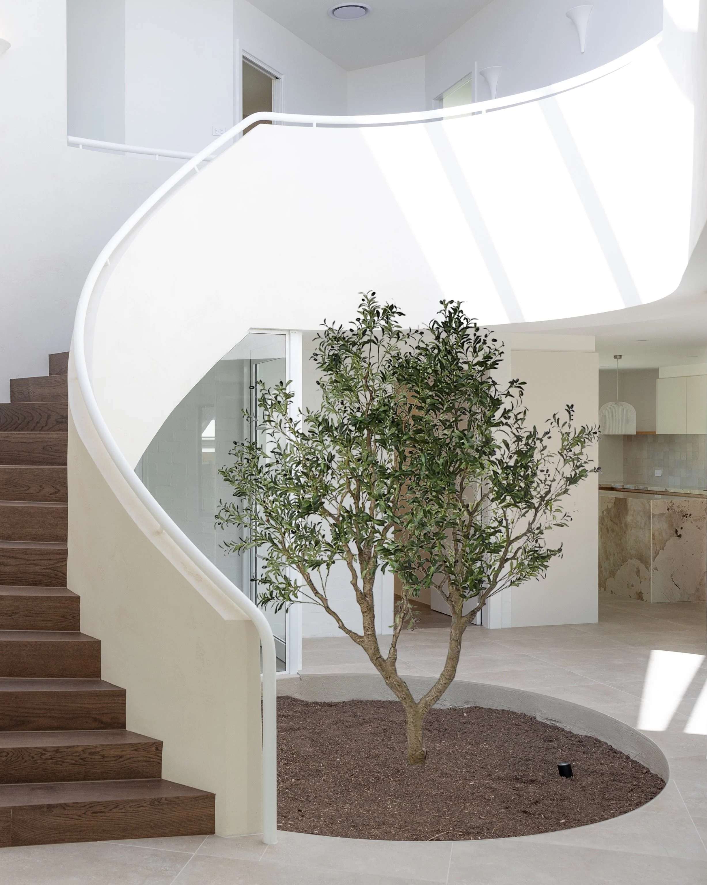 ✨From dark, busy and enclosed&hellip; to calm, sculptural and light-filled.✨

This grand entry has been completely reimagined. Anchored by a curved staircase and wrapped in soft Venetian plaster, creating a sense of quiet from the moment you walk thr