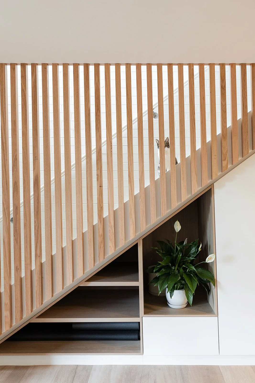 A staircase with wooden handrails and a plant in a white pot underneath, with a cat peeking through the wooden slats.