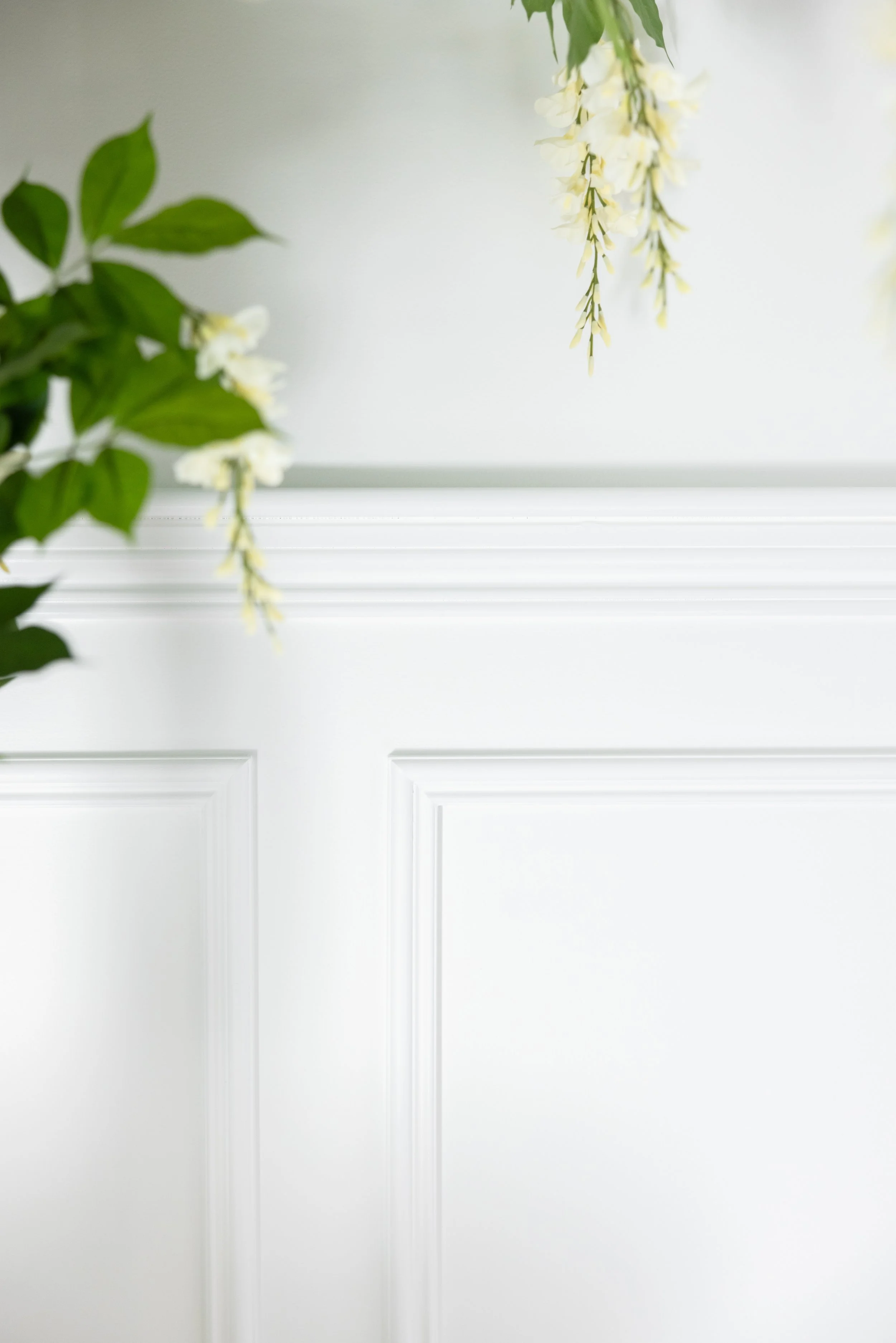 Close-up of a white wall with decorative molding and hanging white flowers, partially visible green leaves on the left.