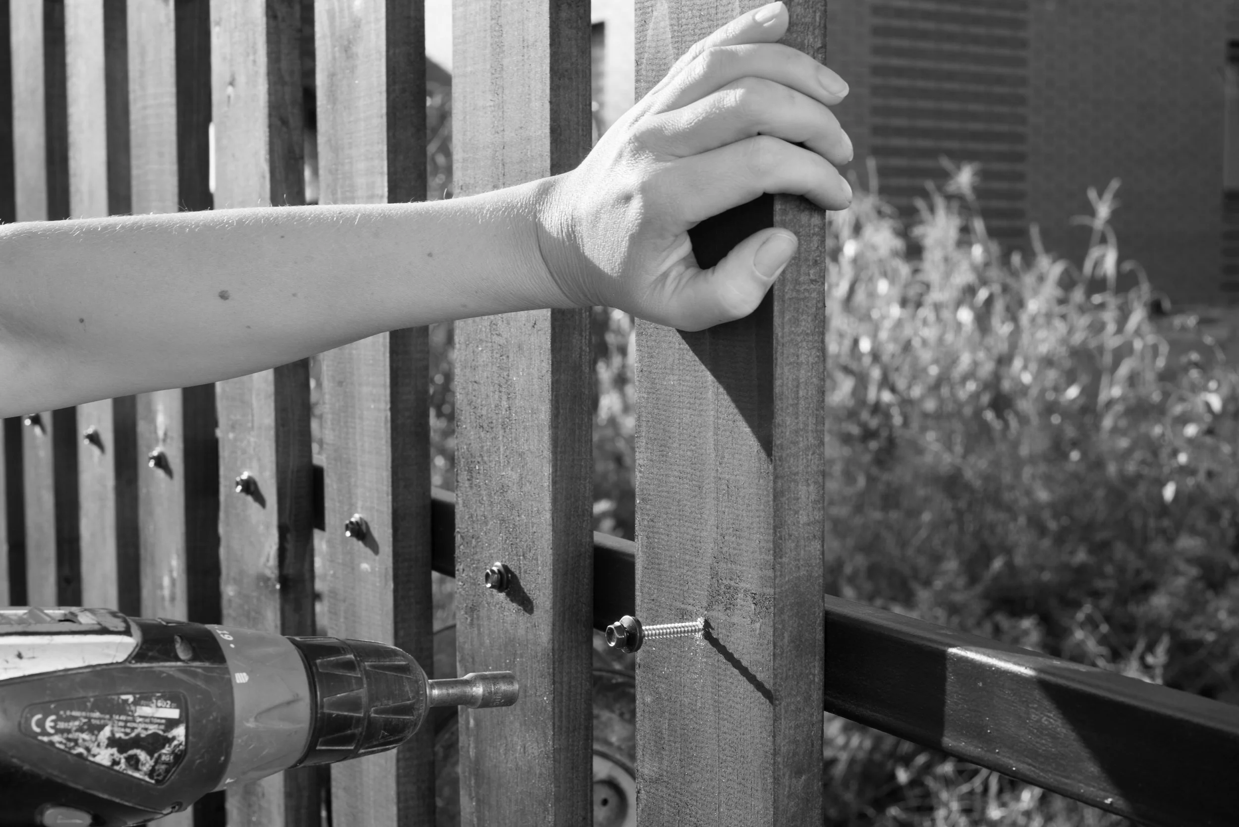 close-up-hand-screewing-wood-plank-metal-construction-building-wooden-fence-with-drill-screw.jpg