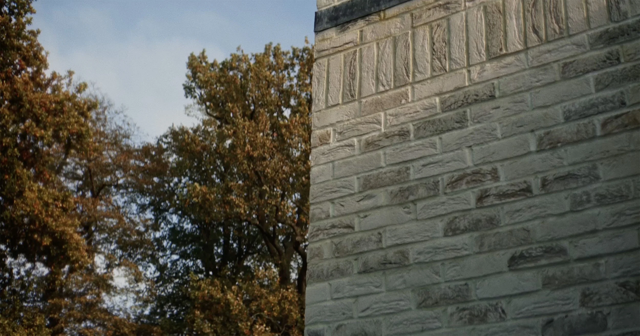 Homepage Reel fallback.jpg