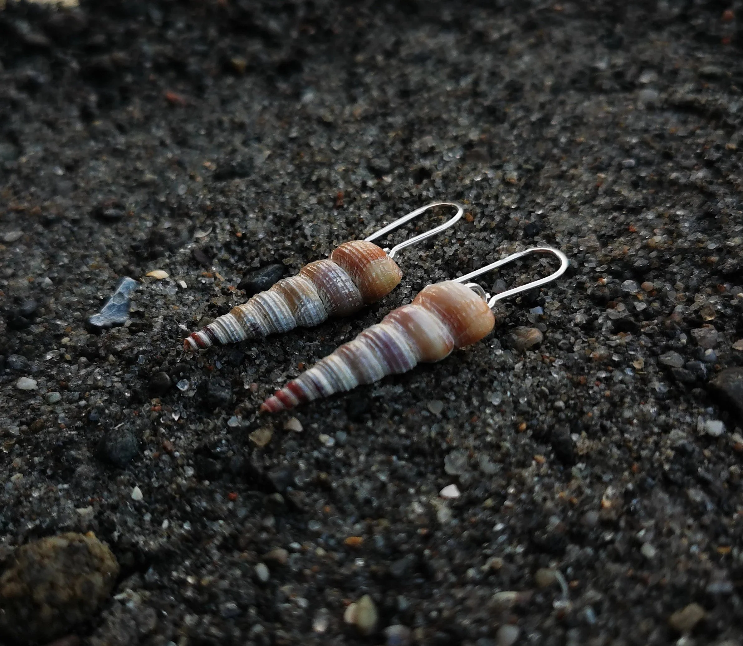 Lyse spiralsneglehuse sølvøreringe