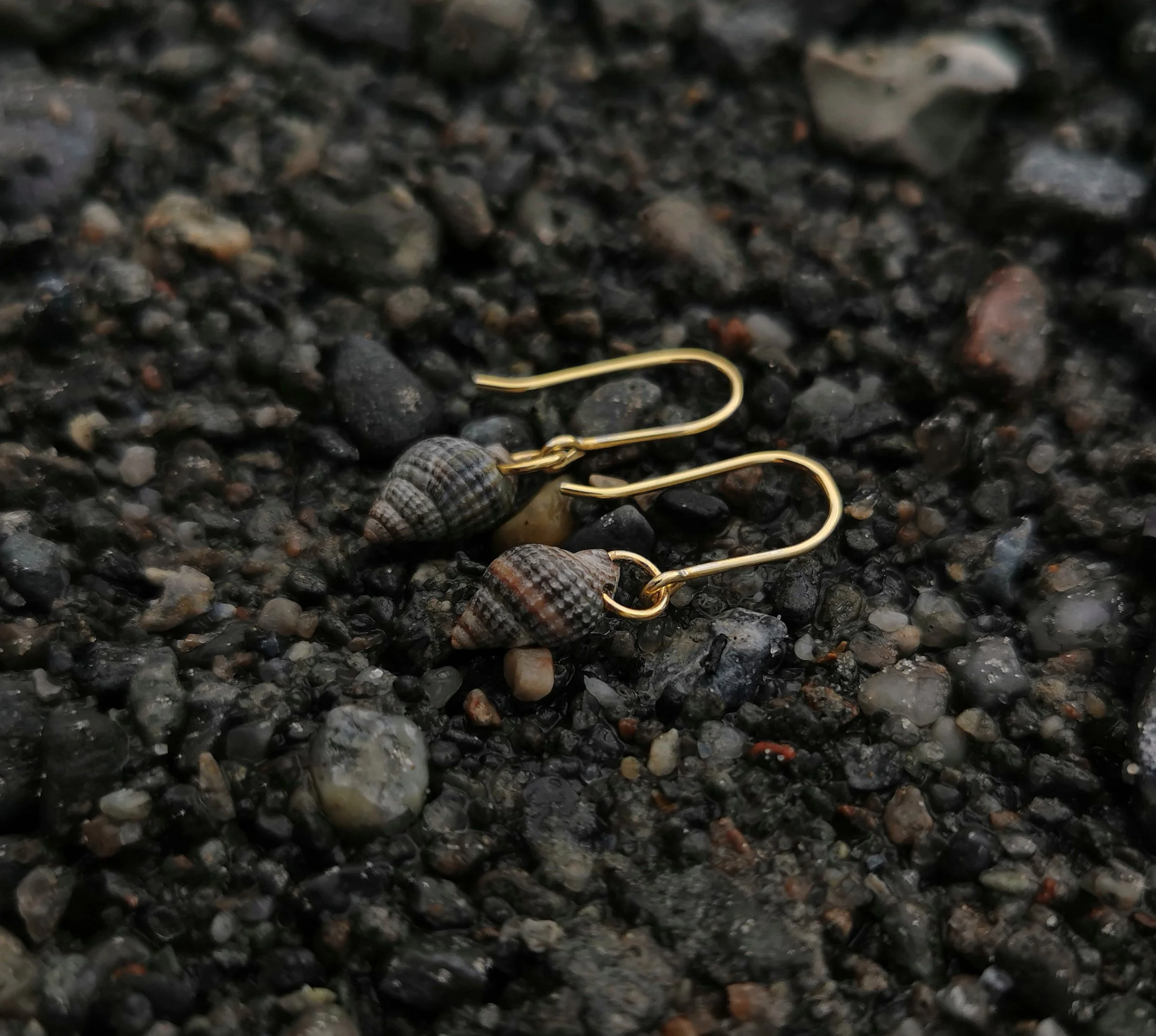 Dværg konkylier Guldøreringe mini