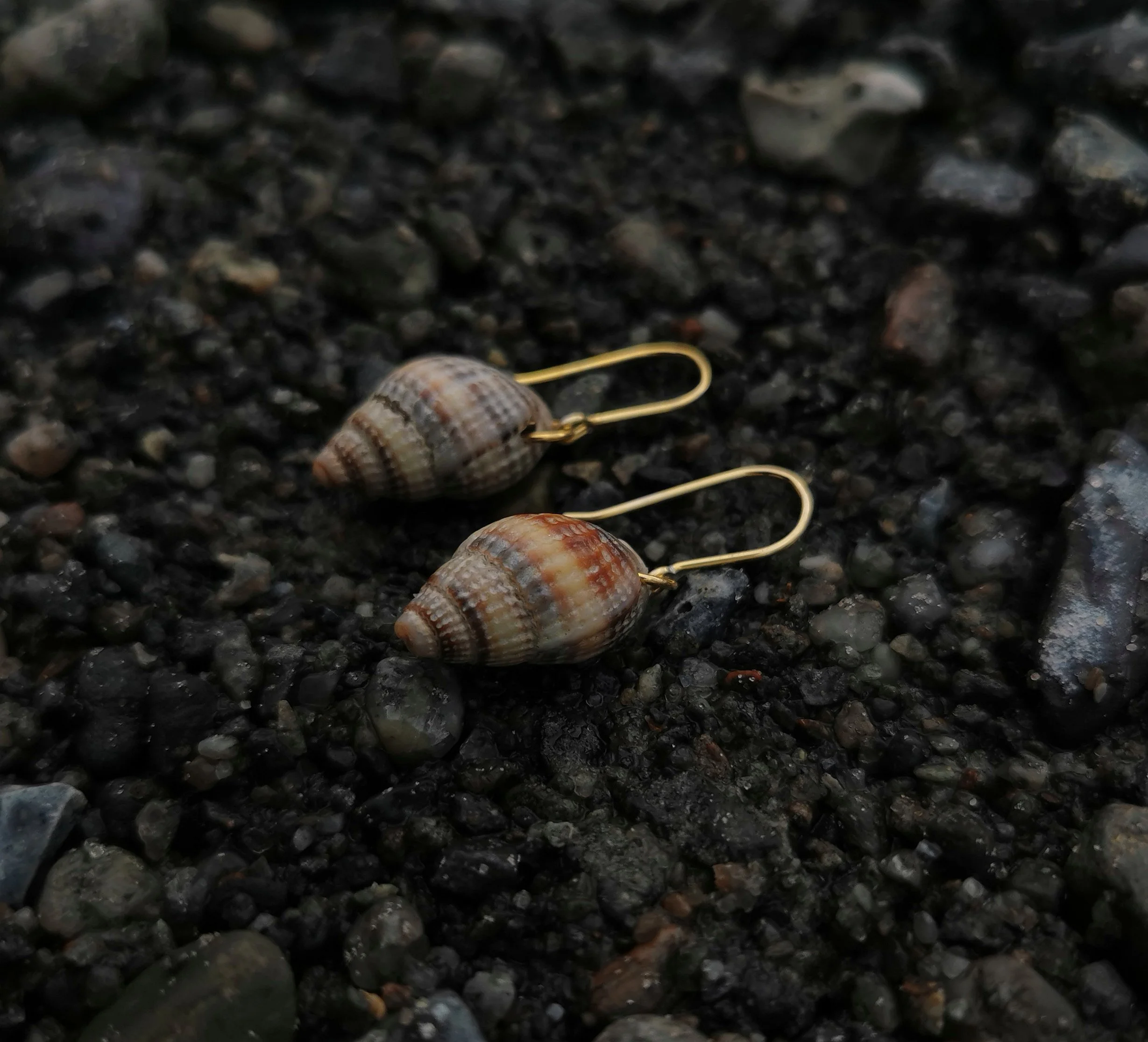 Dværg konkylier guldøreringe