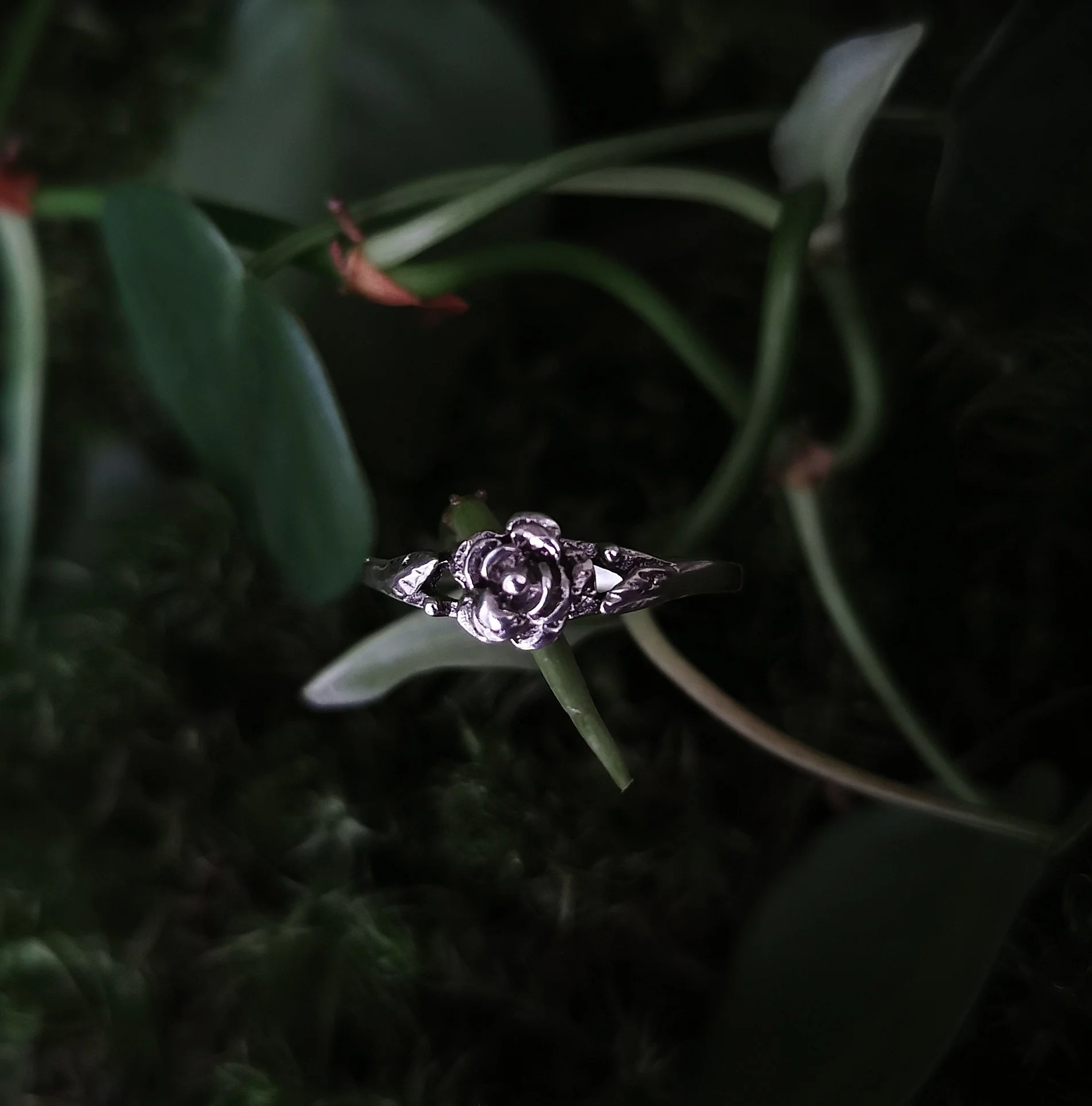 Sølv Rosa canina ring