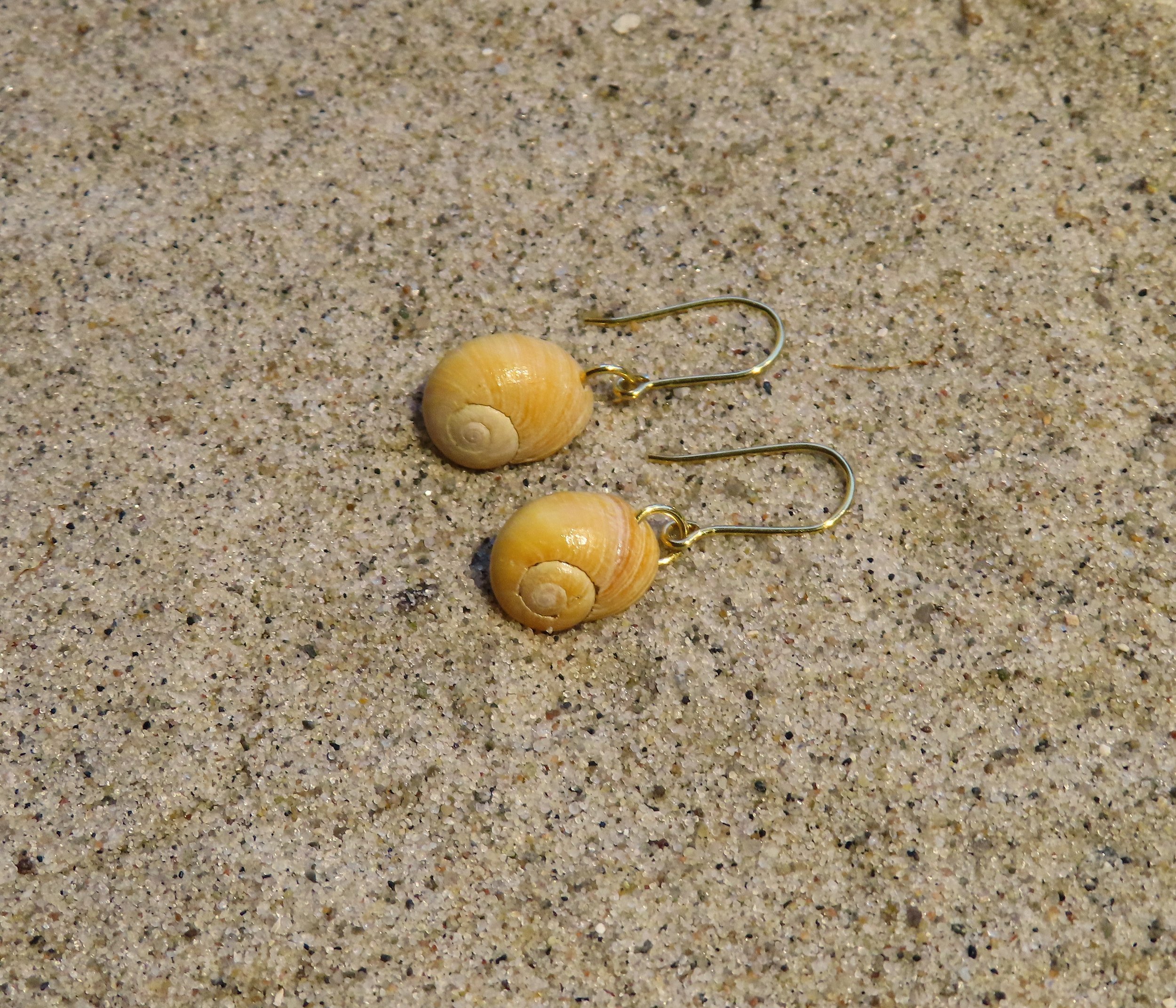 Gule strandsnegle guldøreringe