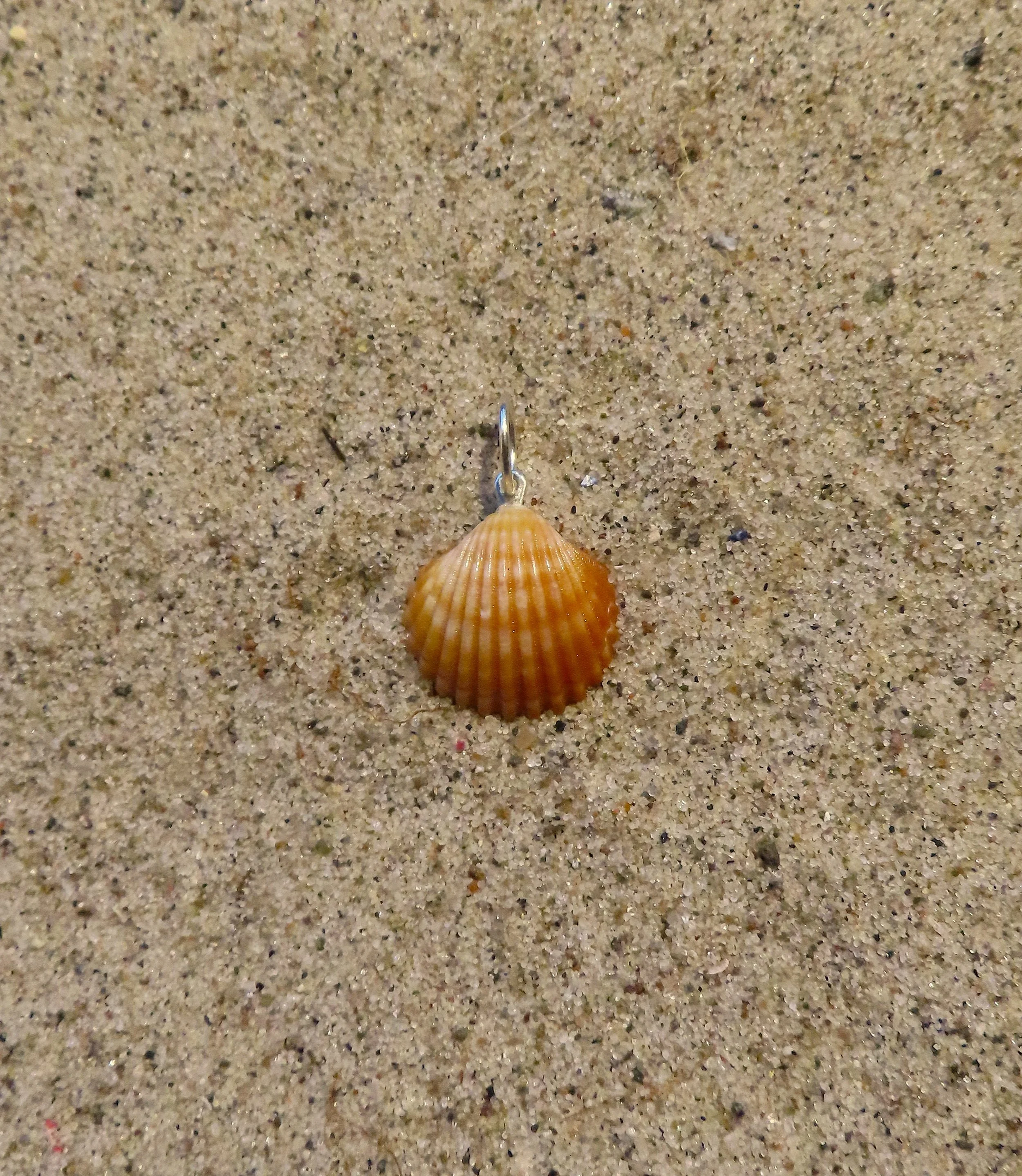 Muslingevedhæng m. sølv