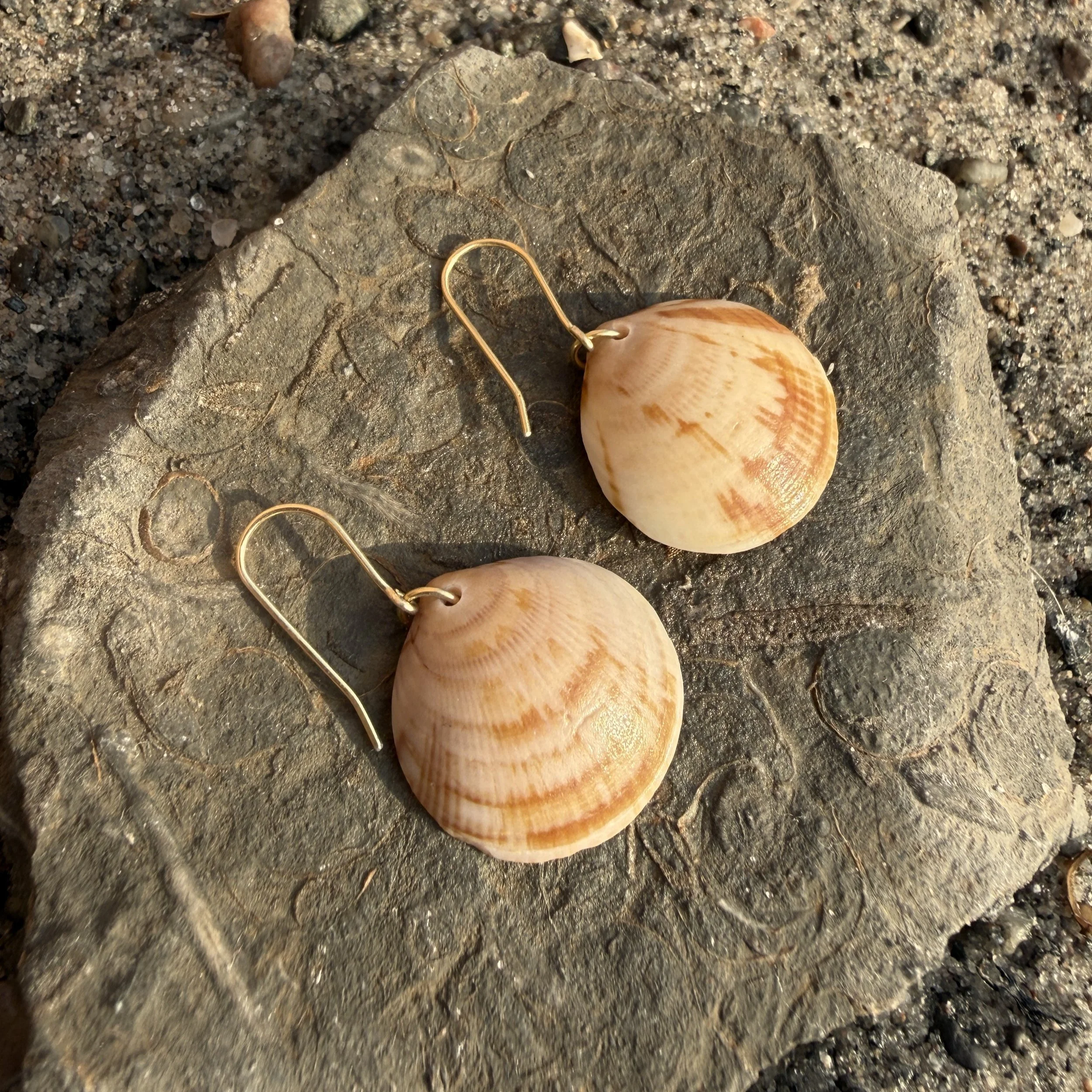Strandskals øreringe guld
