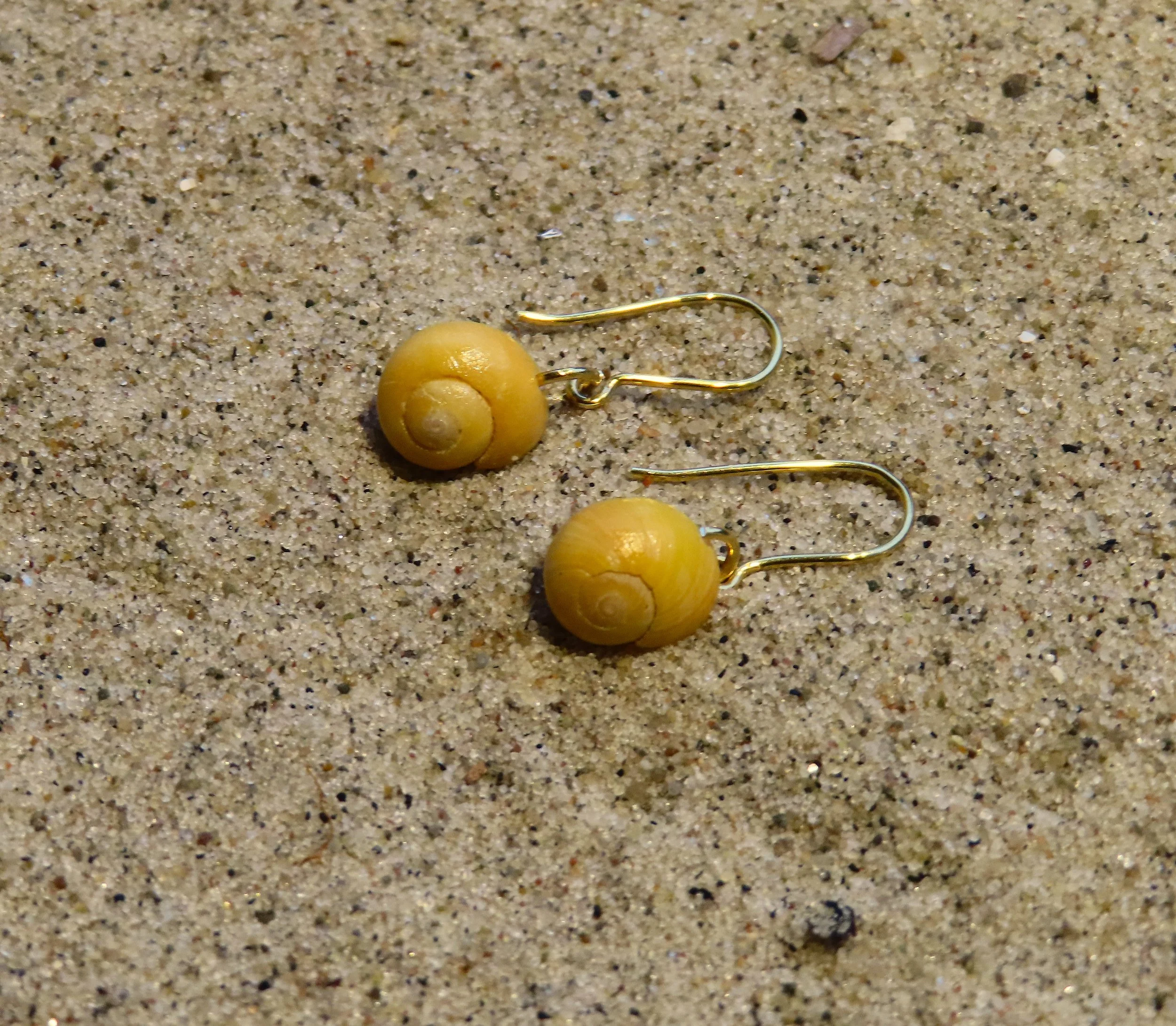 Gule strandsnegle guldøreringe
