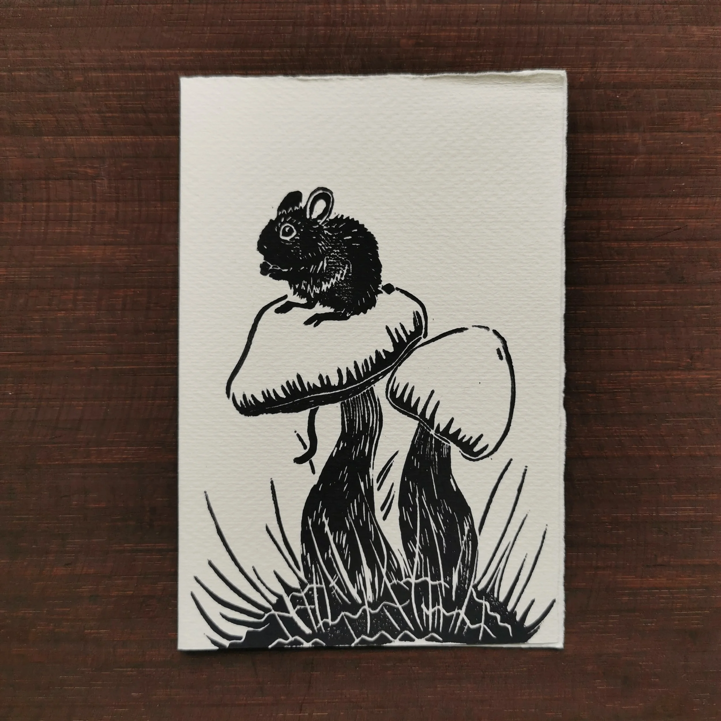 Mus Linotryk - Fås i flere farver