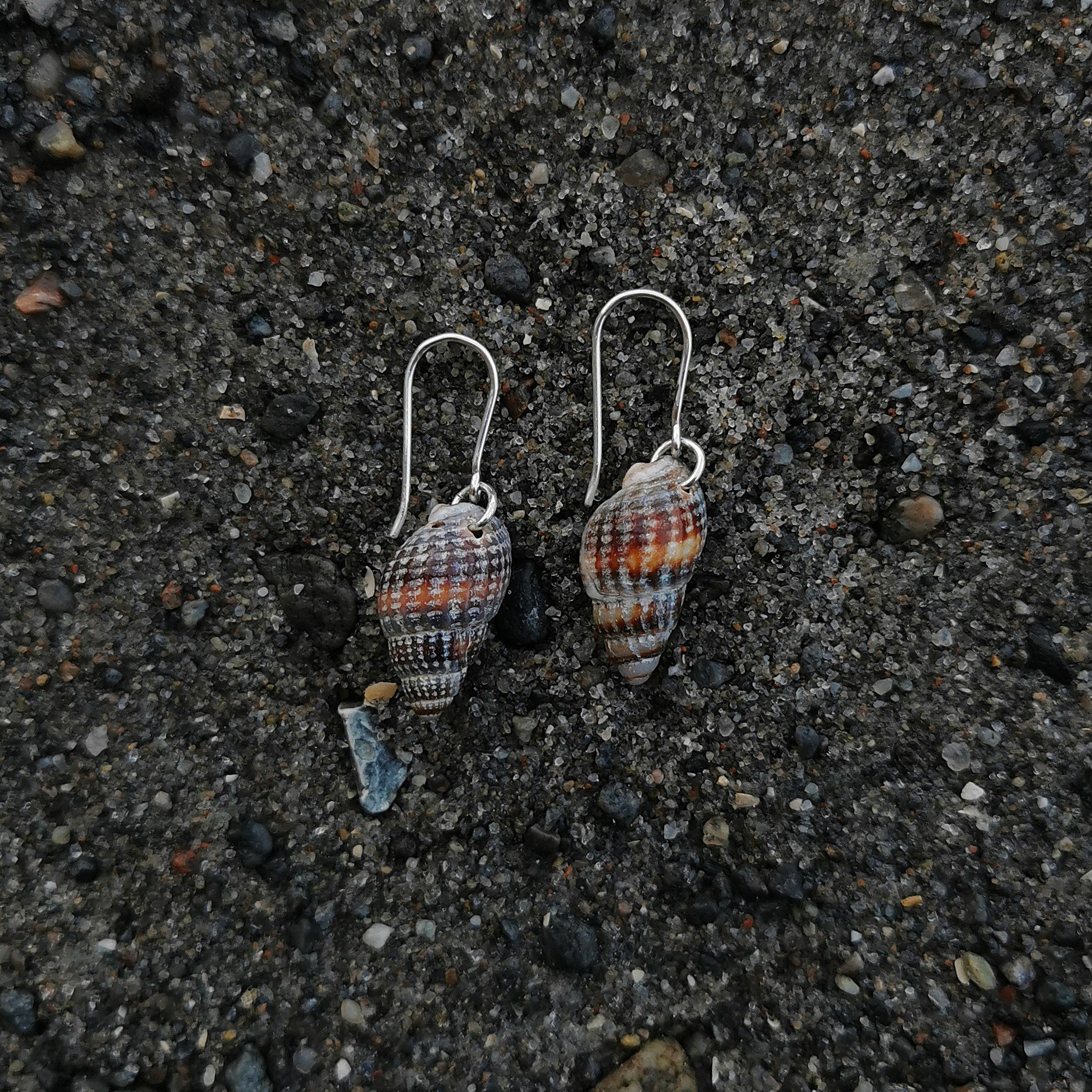 Dværg konkylier sølvøreringe