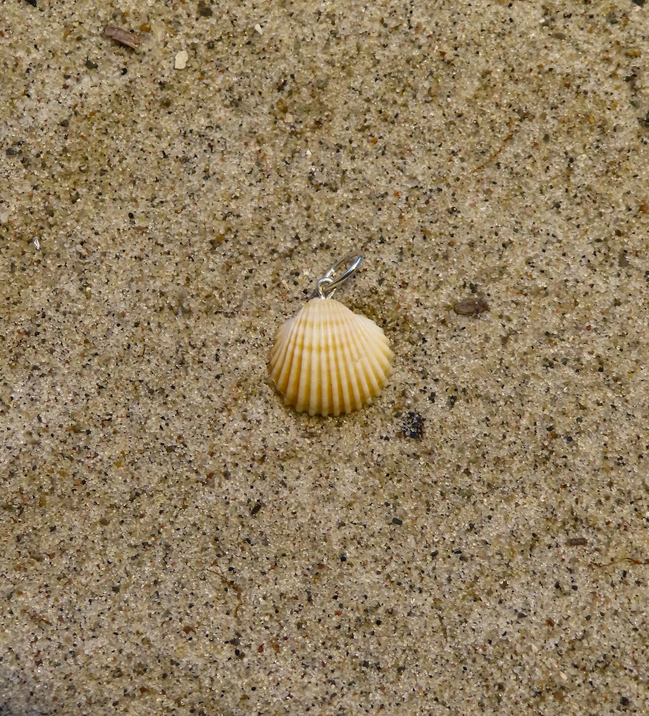 Muslingevedhæng m. sølv