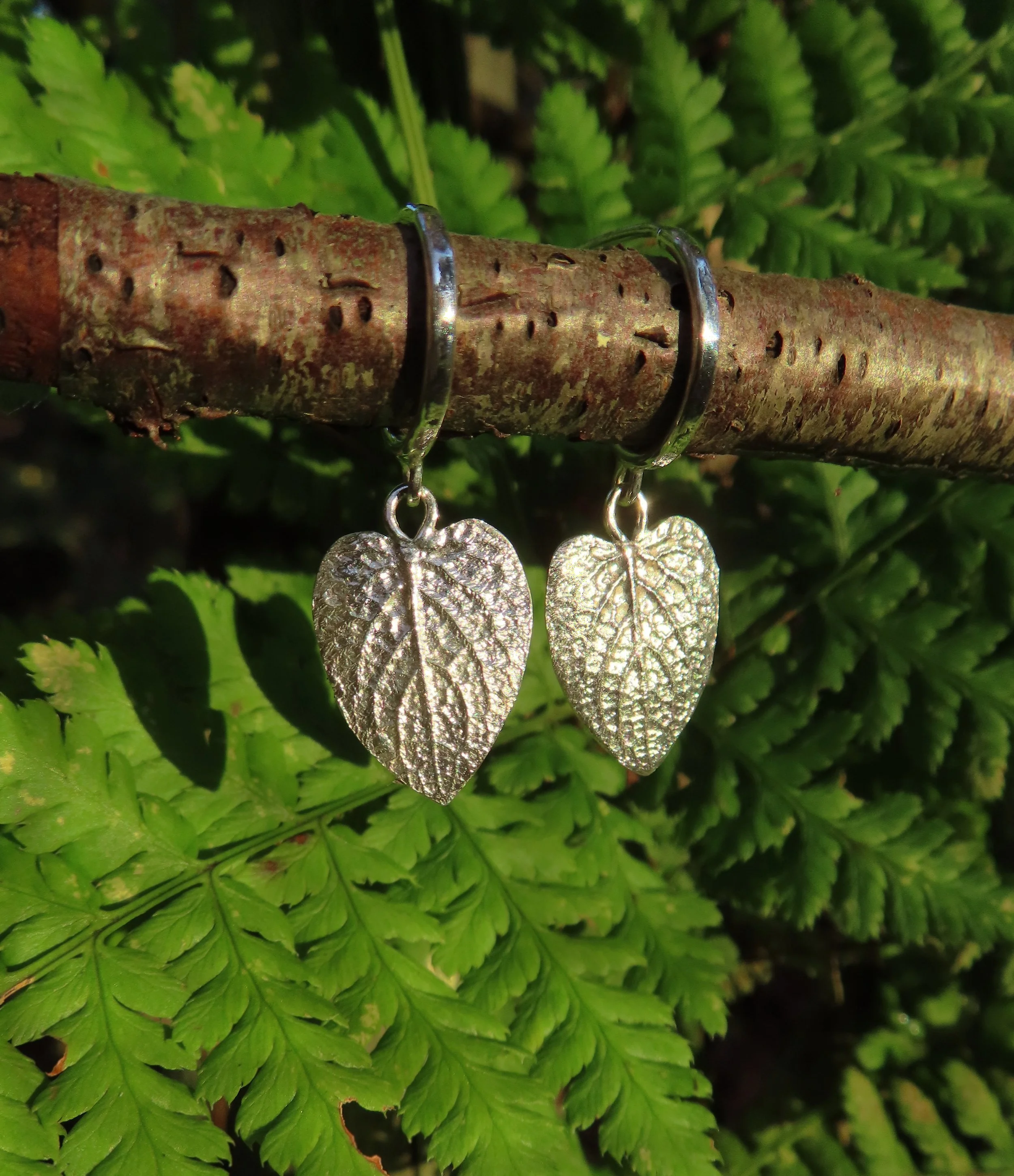 Creoler med sølvblade store