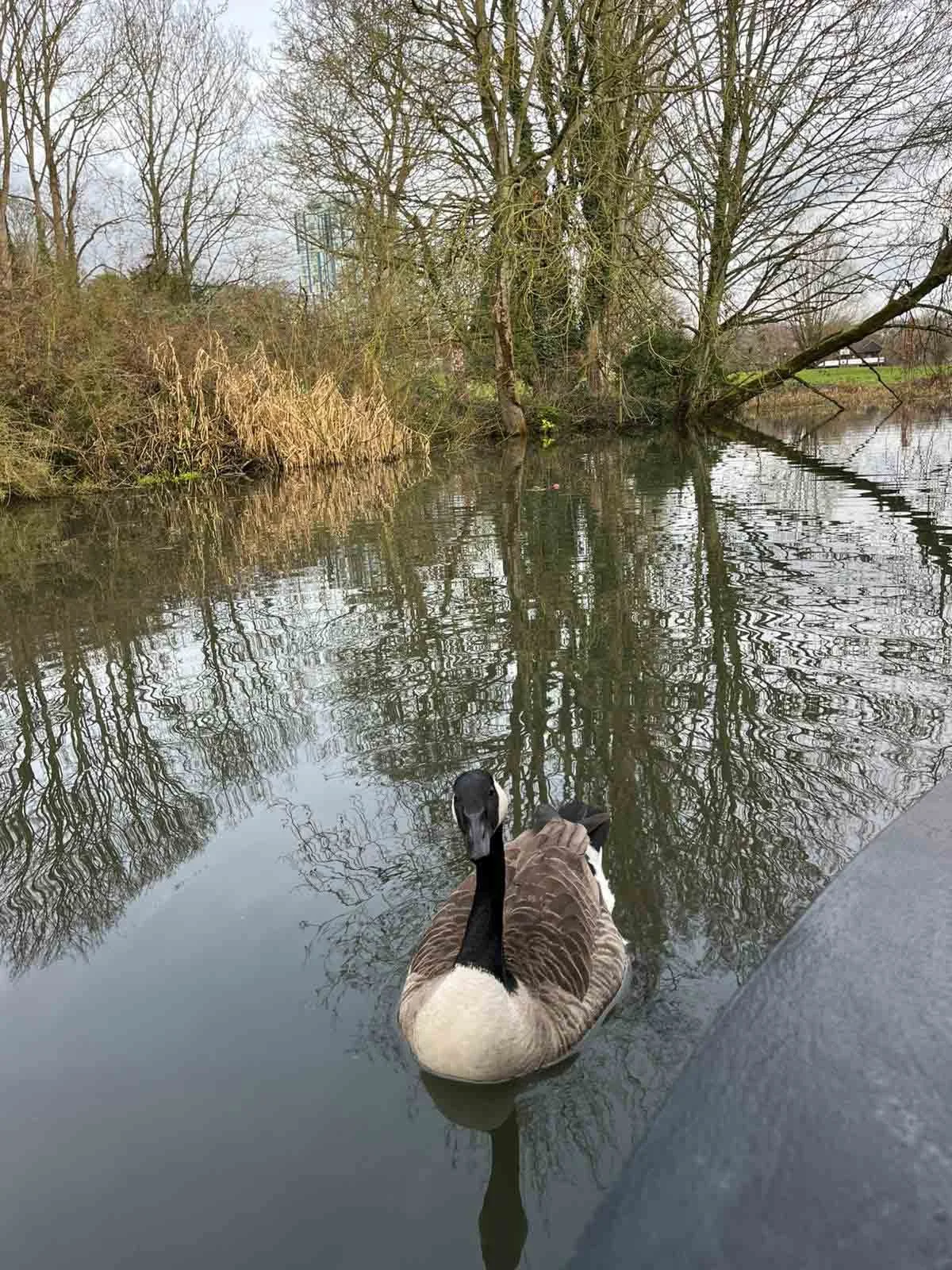 Days Out Near Bedfordshire You Might Not Have Tried