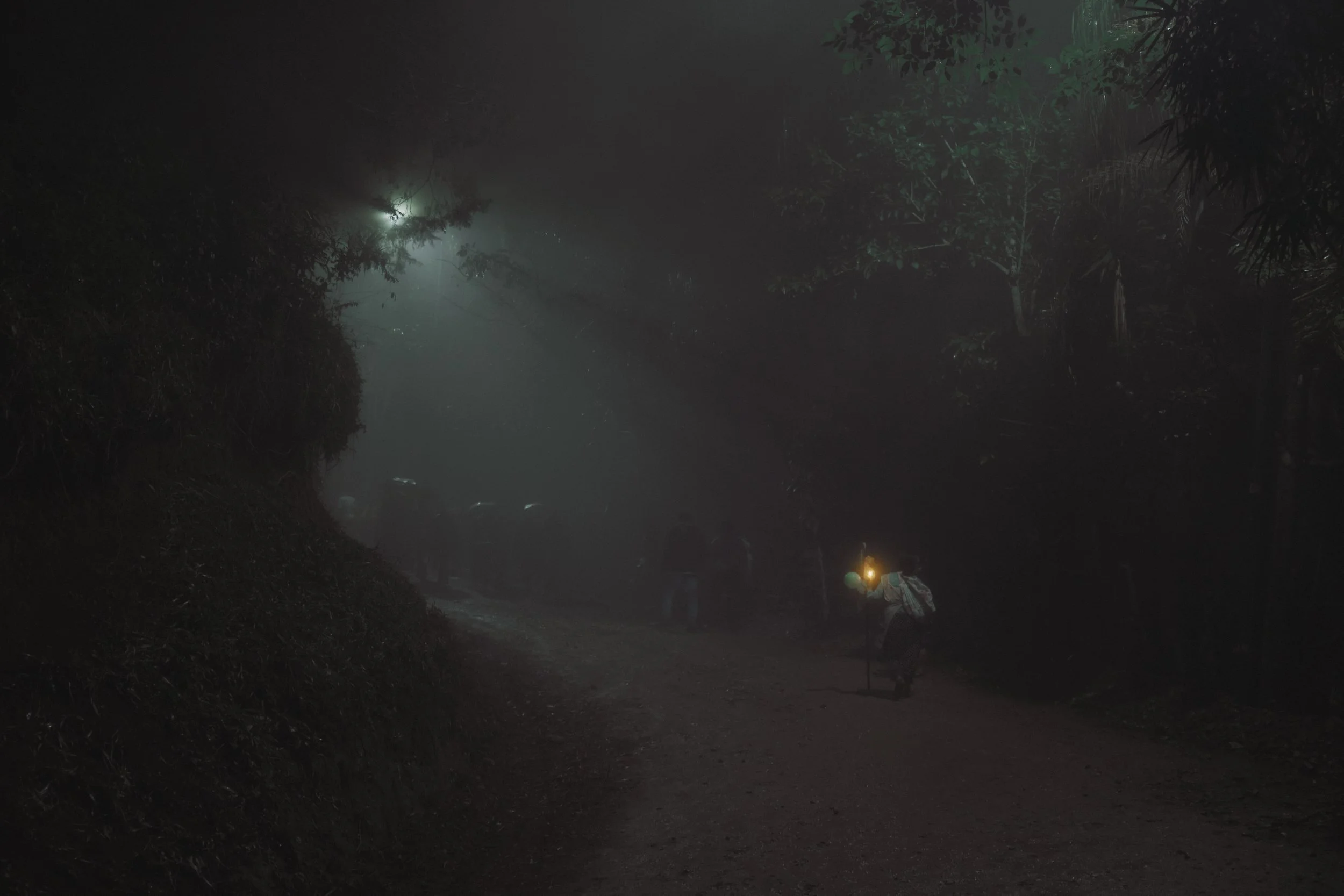 Camino en la noche rodeado de árboles y vegetación, con una persona con linterna caminando por el sendero.