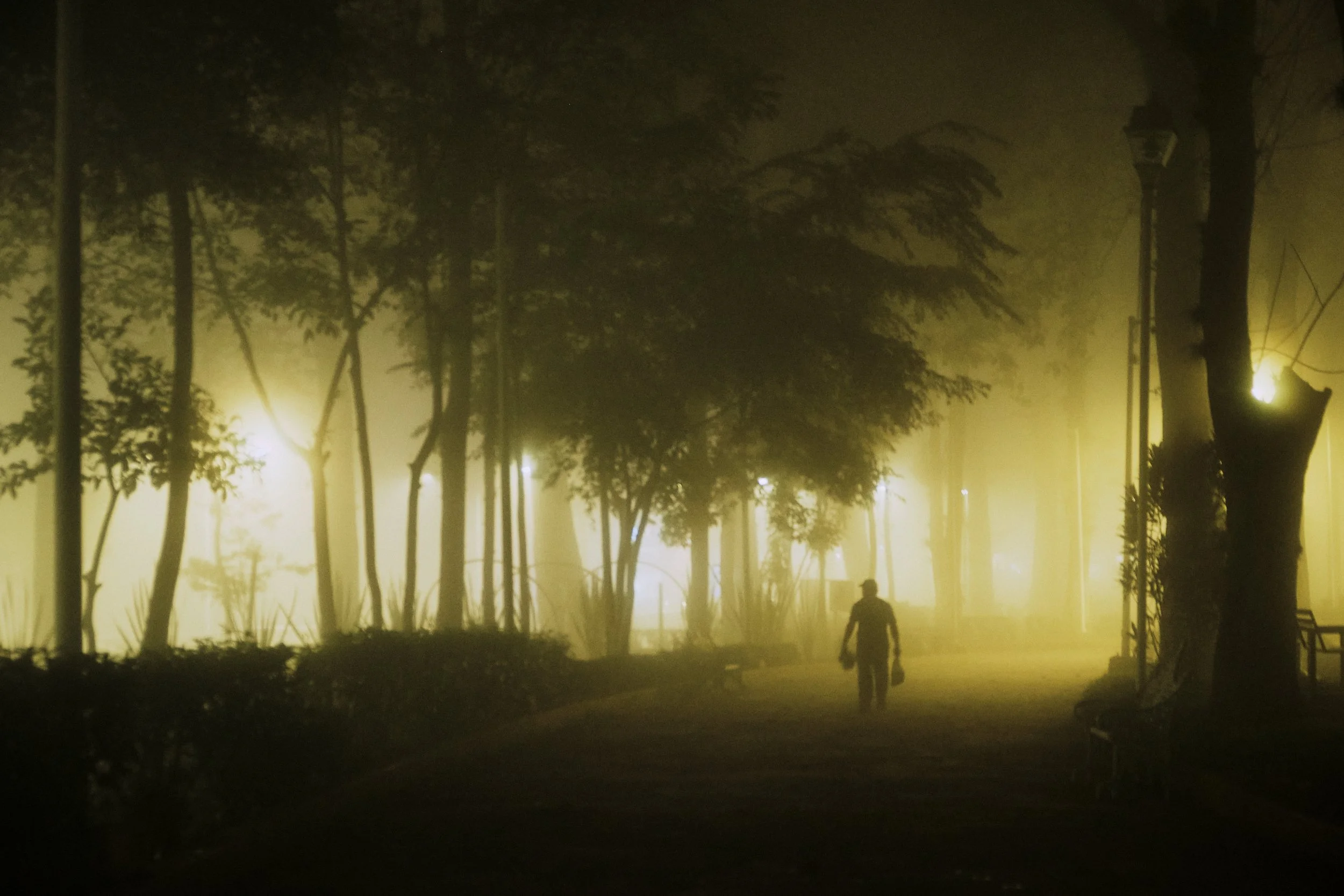 A la noche, un parque con árboles y caminos iluminados por farolas, con una persona caminando y la niebla o humo en el ambiente.