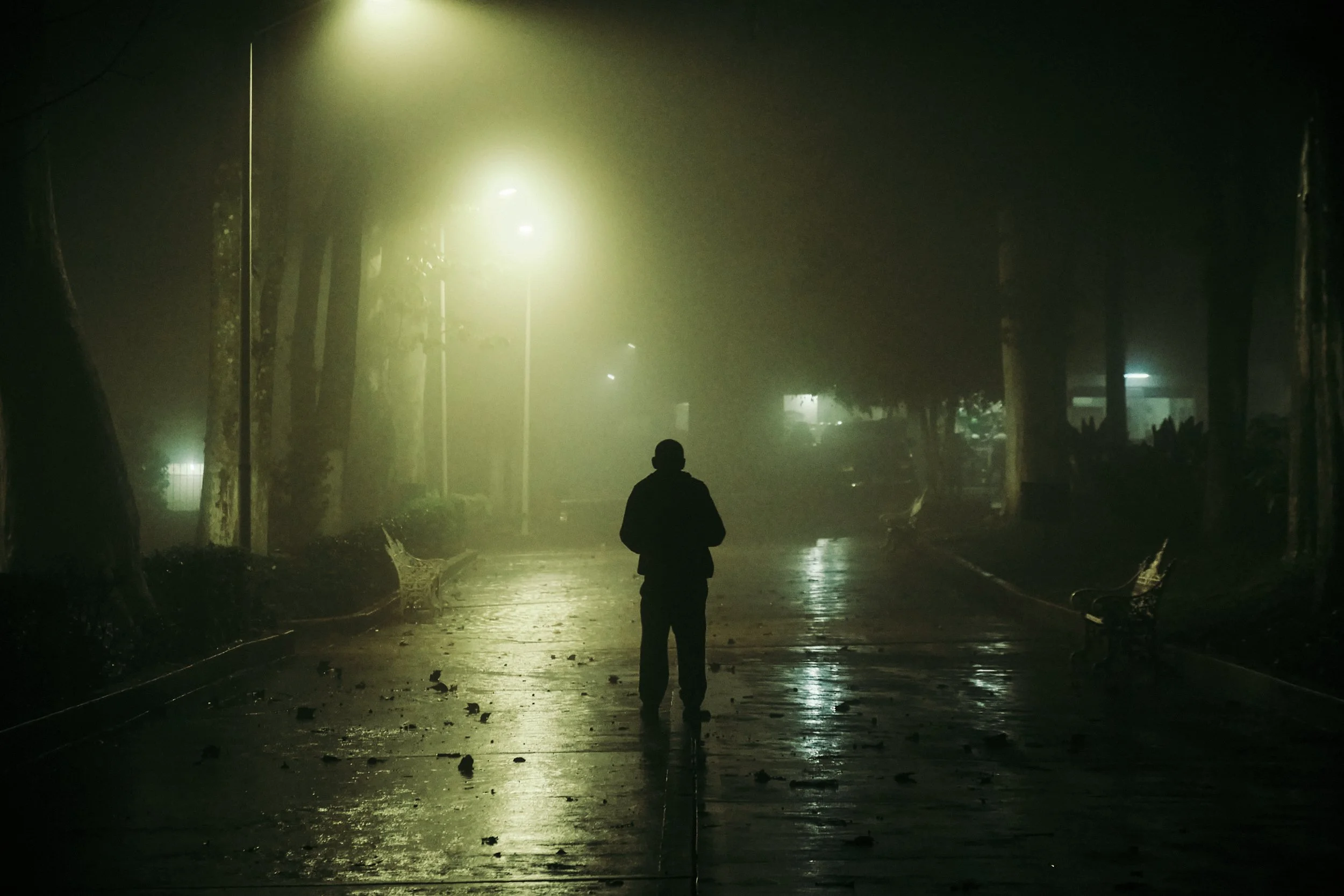 Una persona caminando sola en una calle vacía y lluviosa por la noche, con árboles y farolas iluminando parcialmente el camino.