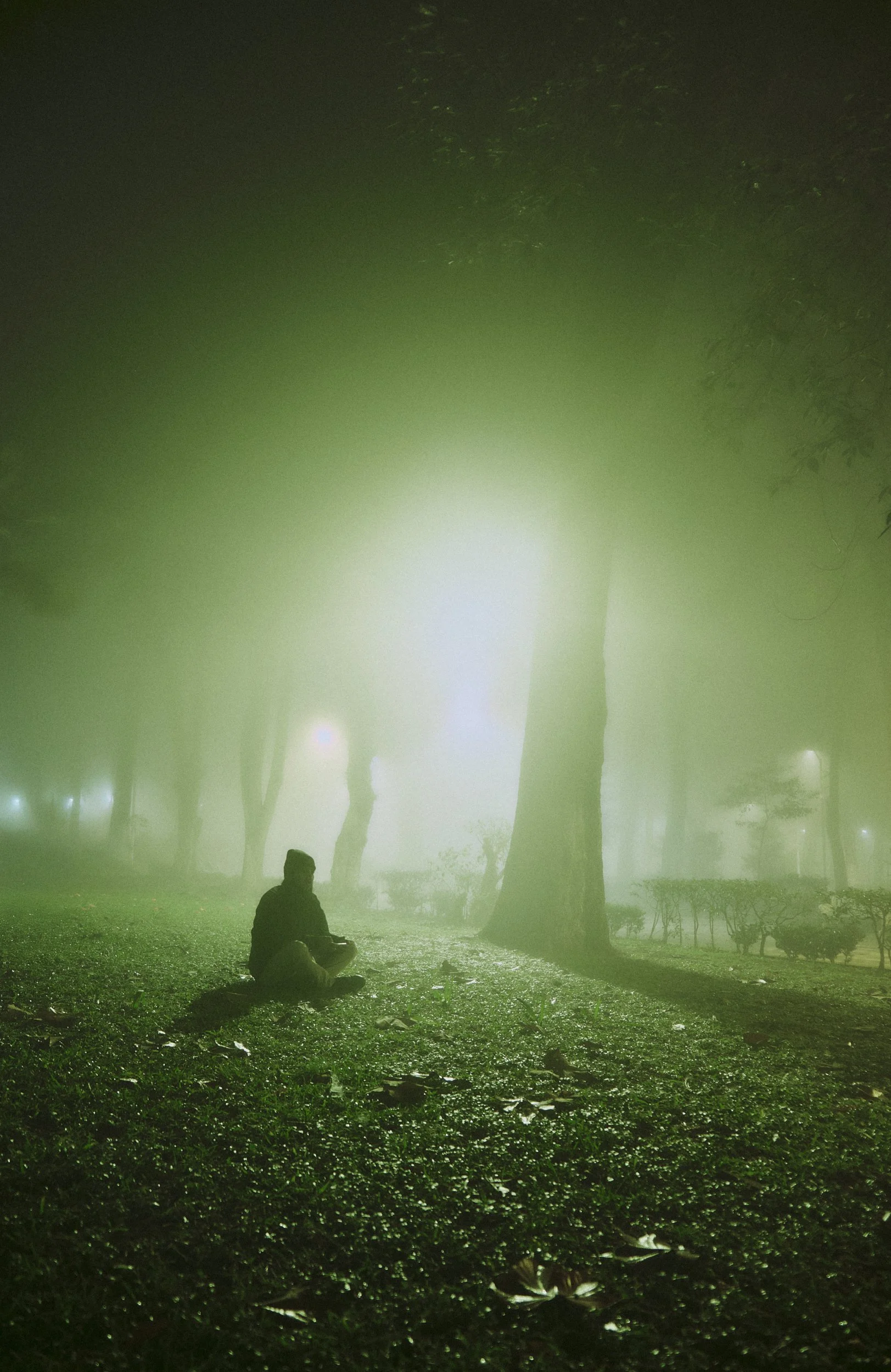 Una silueta de una persona sentada en un parque cubierto de niebla con árboles y césped.