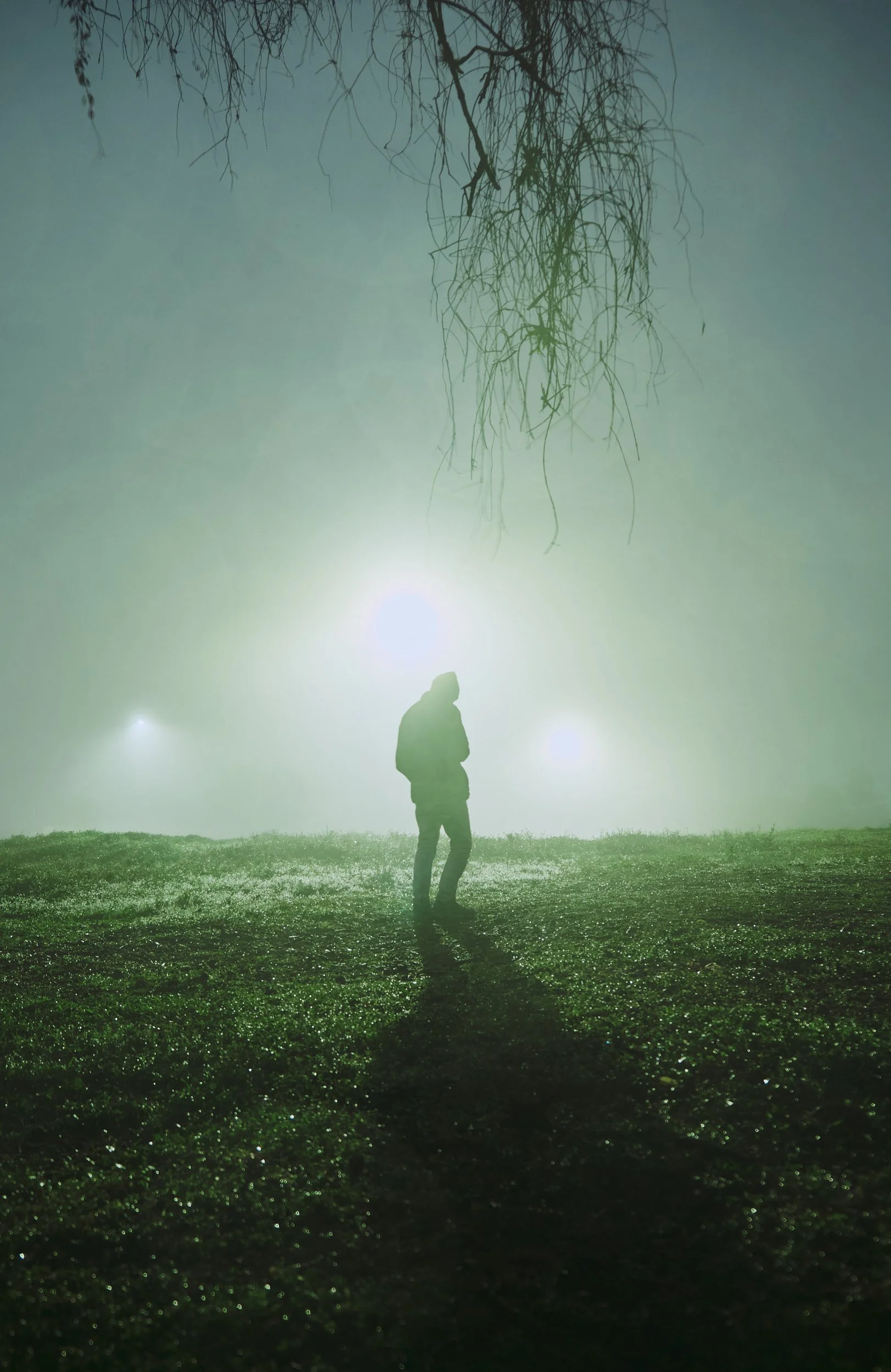 Una persona de espaldas de pie en un campo con neblina, bajo un cielo gris y árboles sin hojas.