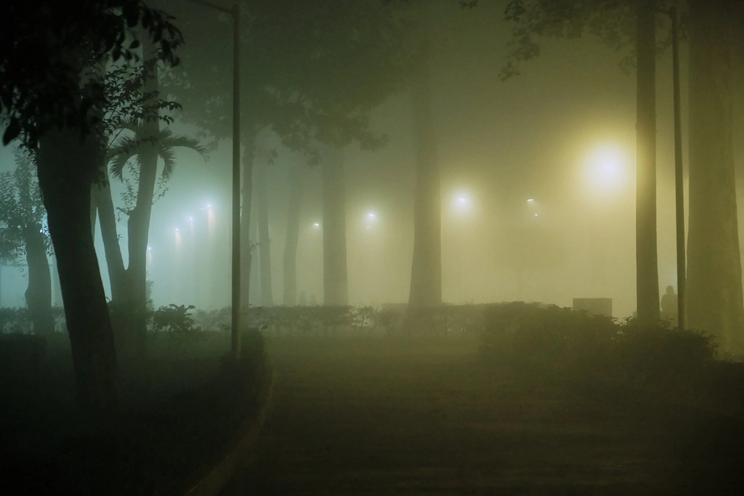 Un parque cubierto de niebla en la noche, con árboles y farolas encendidas formando un ambiente misterioso.