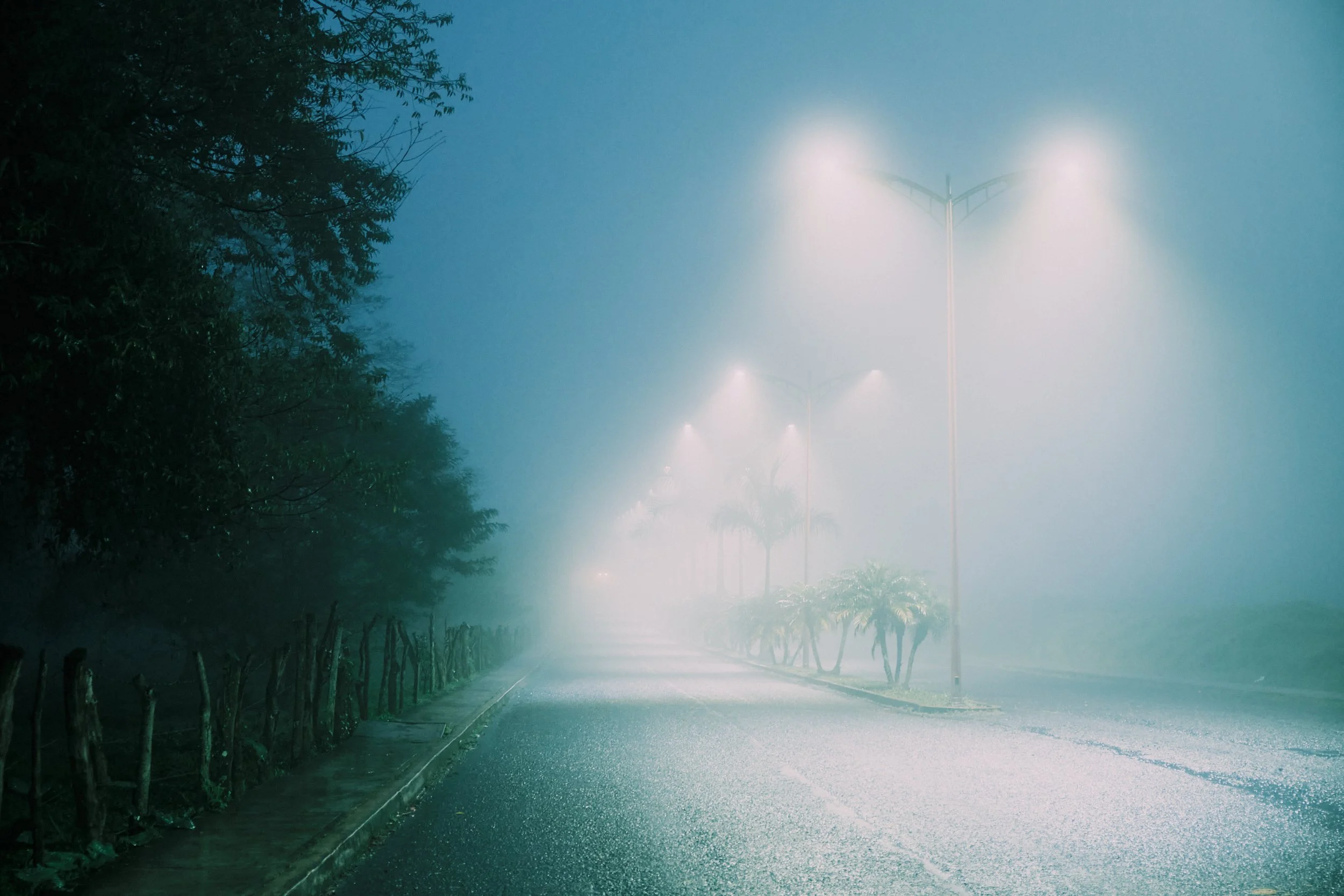 Calles cubiertas de neblina con árboles y farolas iluminadas, ambiente nocturno y misterioso.